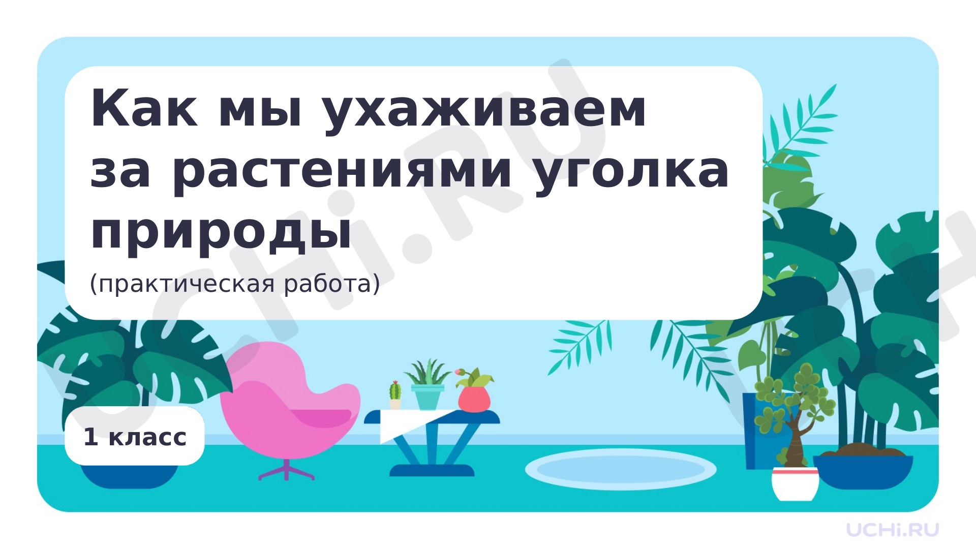 Предпросмотр материала Как мы ухаживаем за растениями (практическая работа)