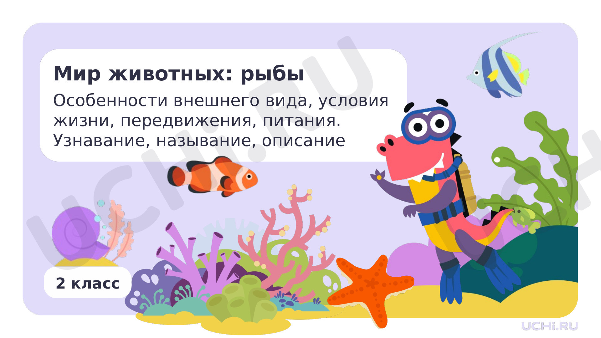 Предпросмотр материала Мир животных: рыбы