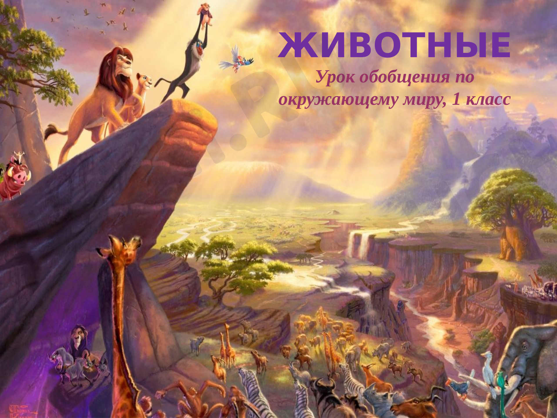 Предпросмотр материала Животные. Обобщающий урок