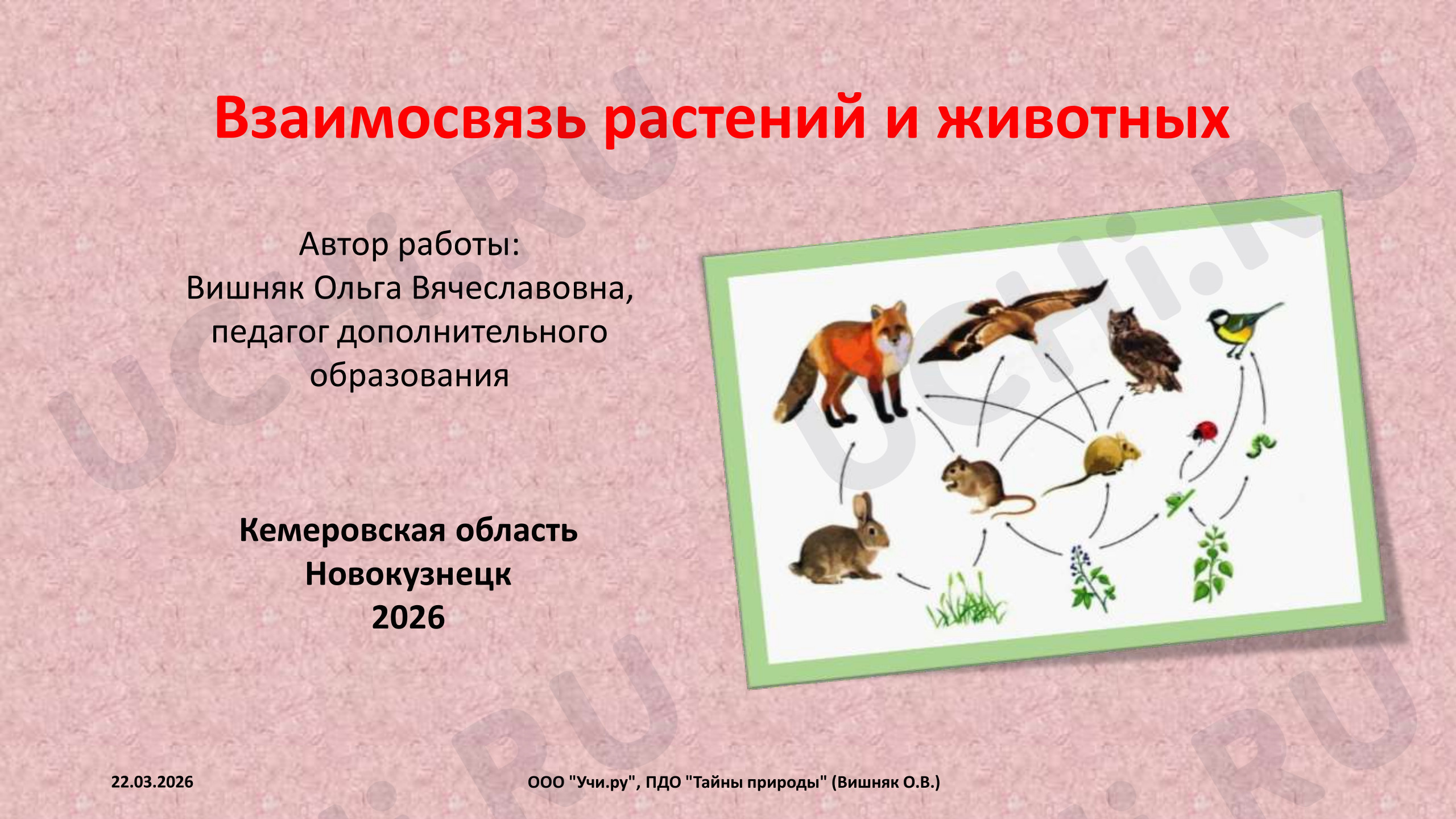 Предпросмотр материала Презентация к занятию. Взаимосвязь растений и животных