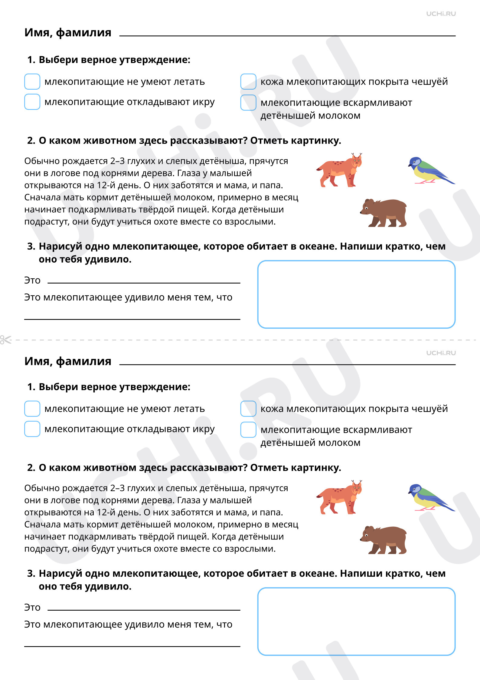 Предпросмотр материала Мир животных. Забота зверей о своих детёнышах. Повышенный уровень
