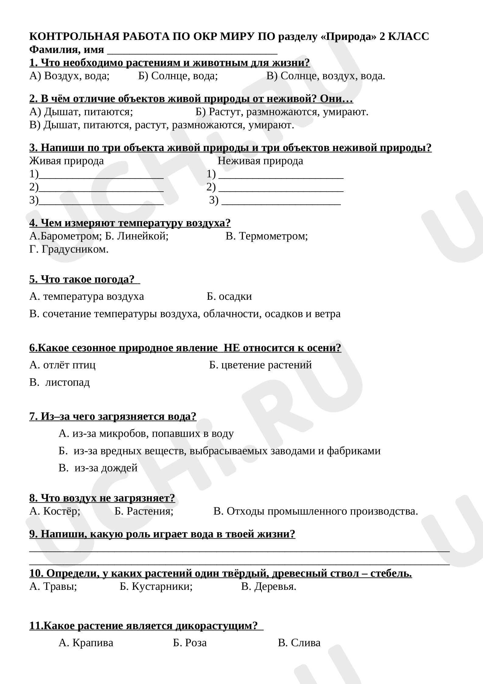 Предпросмотр материала Проверочная работа по окружающему миру по разделу «Природа»