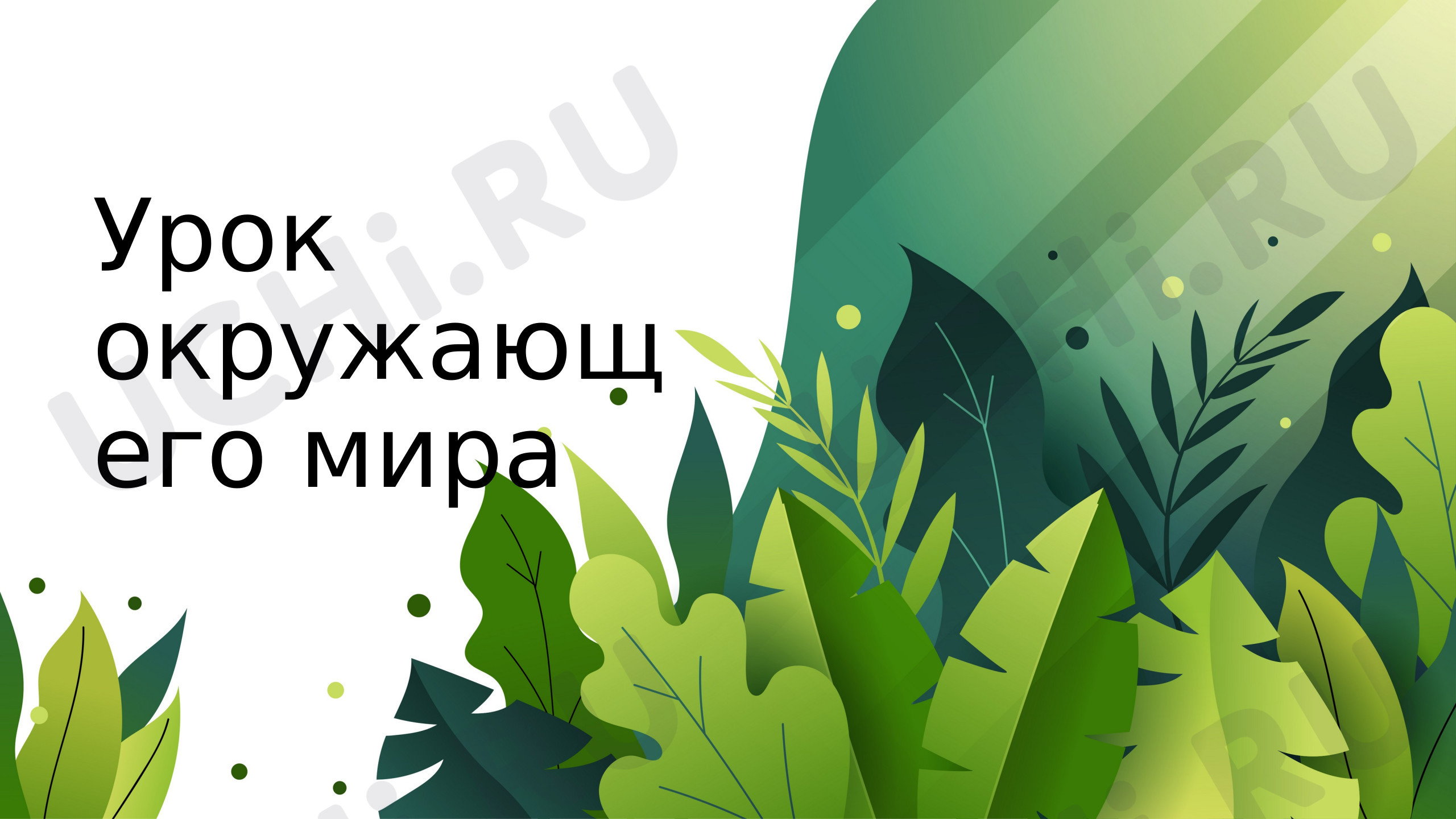 Предпросмотр материала Окружающий мир 1 класс "Что относится к природе?" презентация