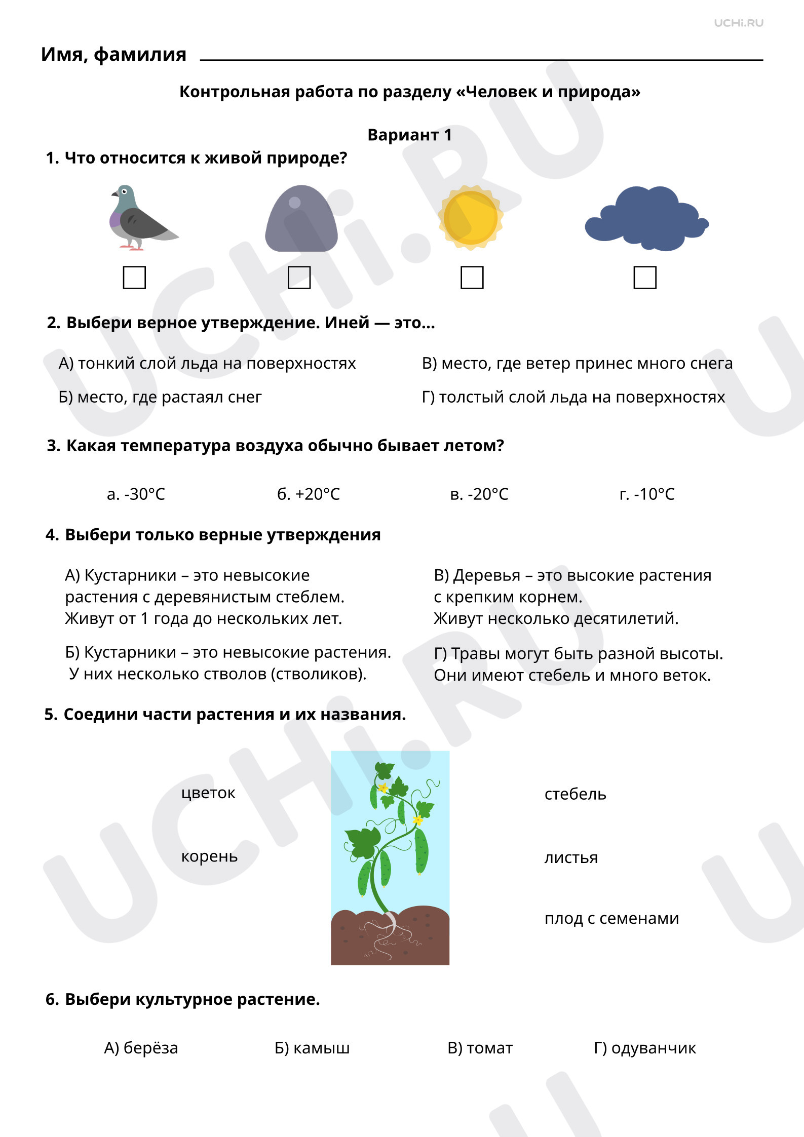 Предпросмотр материала Человек и природа. Вариант 1