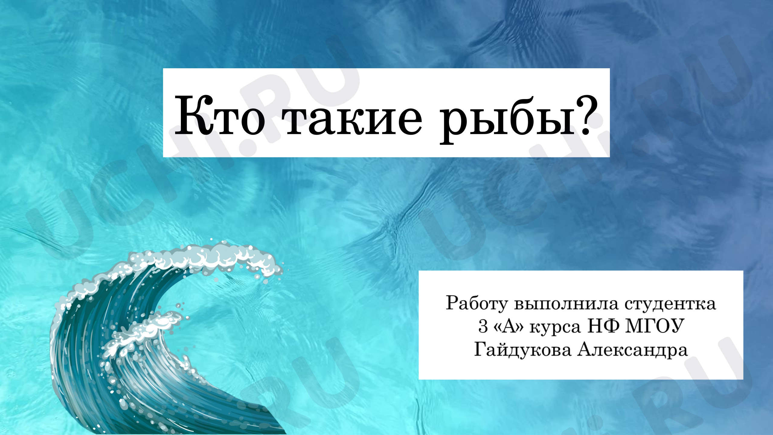 Предпросмотр материала Презентация к уроку окружающего мира. Кто такие рыбы?