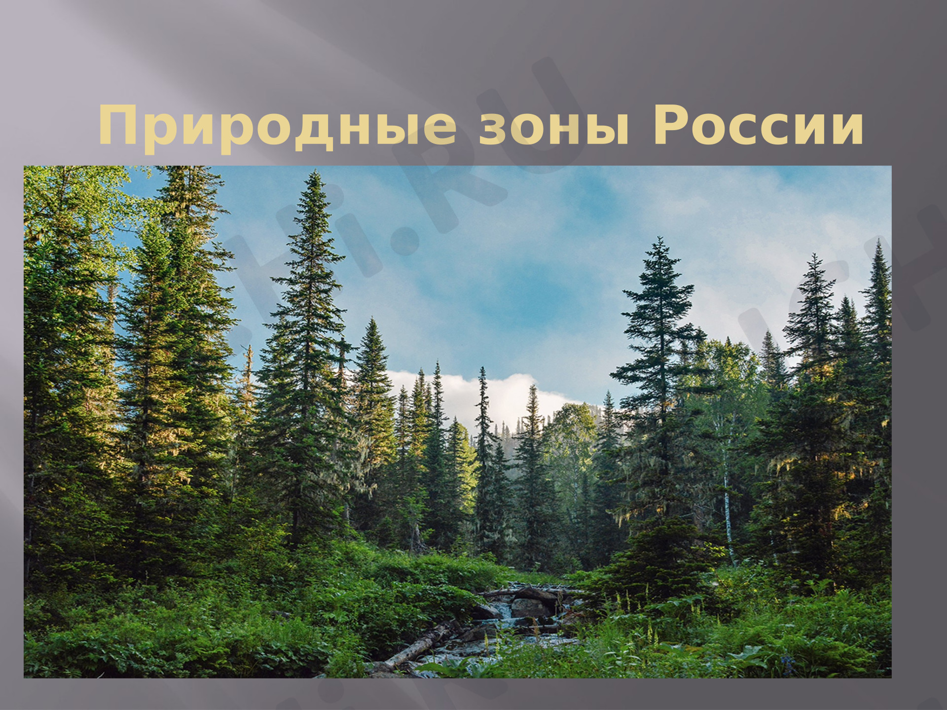 Предпросмотр материала Презентация к уроку окружающего мира. Природные зоны России.
