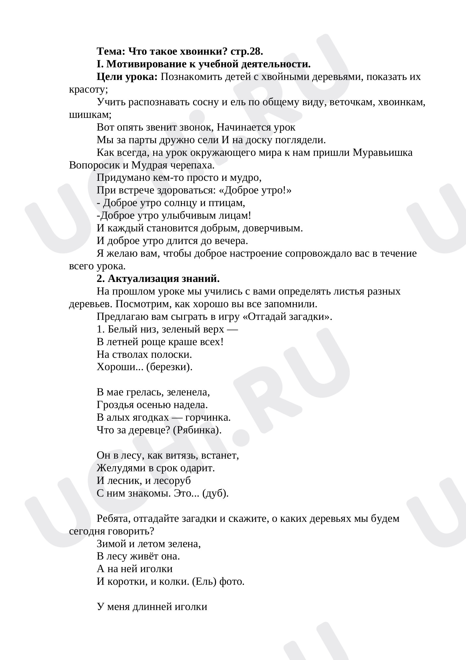 Предпросмотр материала Что такое хвоинки?