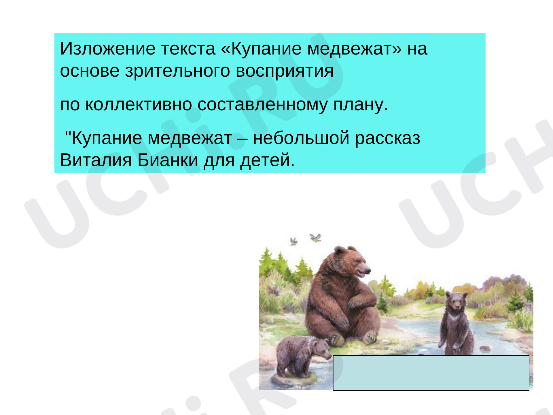 Предпросмотр материала Презентация к уроку русского языка. Изложение «Купание медвежат».