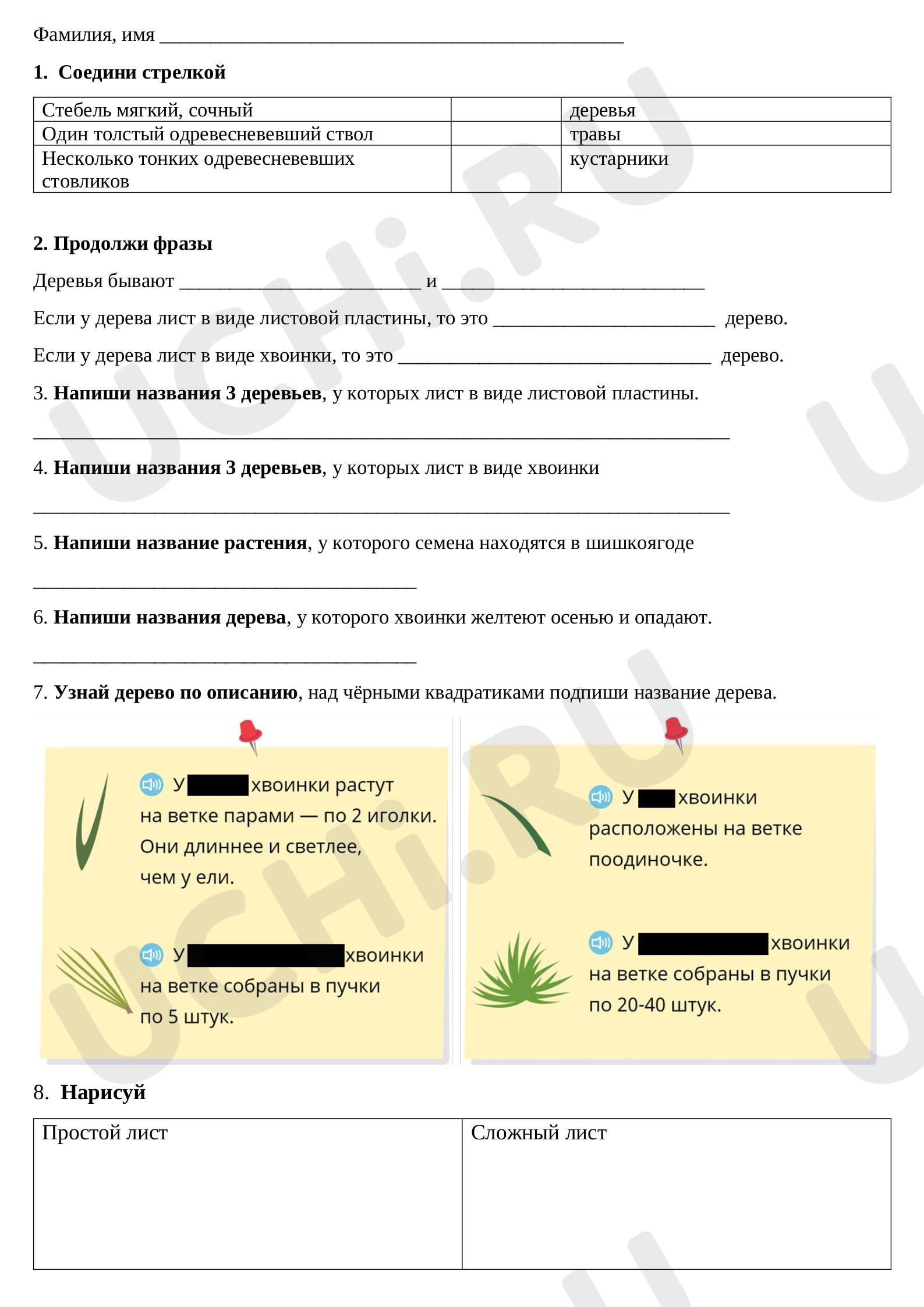 Предпросмотр материала Тест к уроку окружающего мира по теме:   ЛИСТВЕННЫЕ И ХВОЙНЫЕ РАСТЕНИЯ