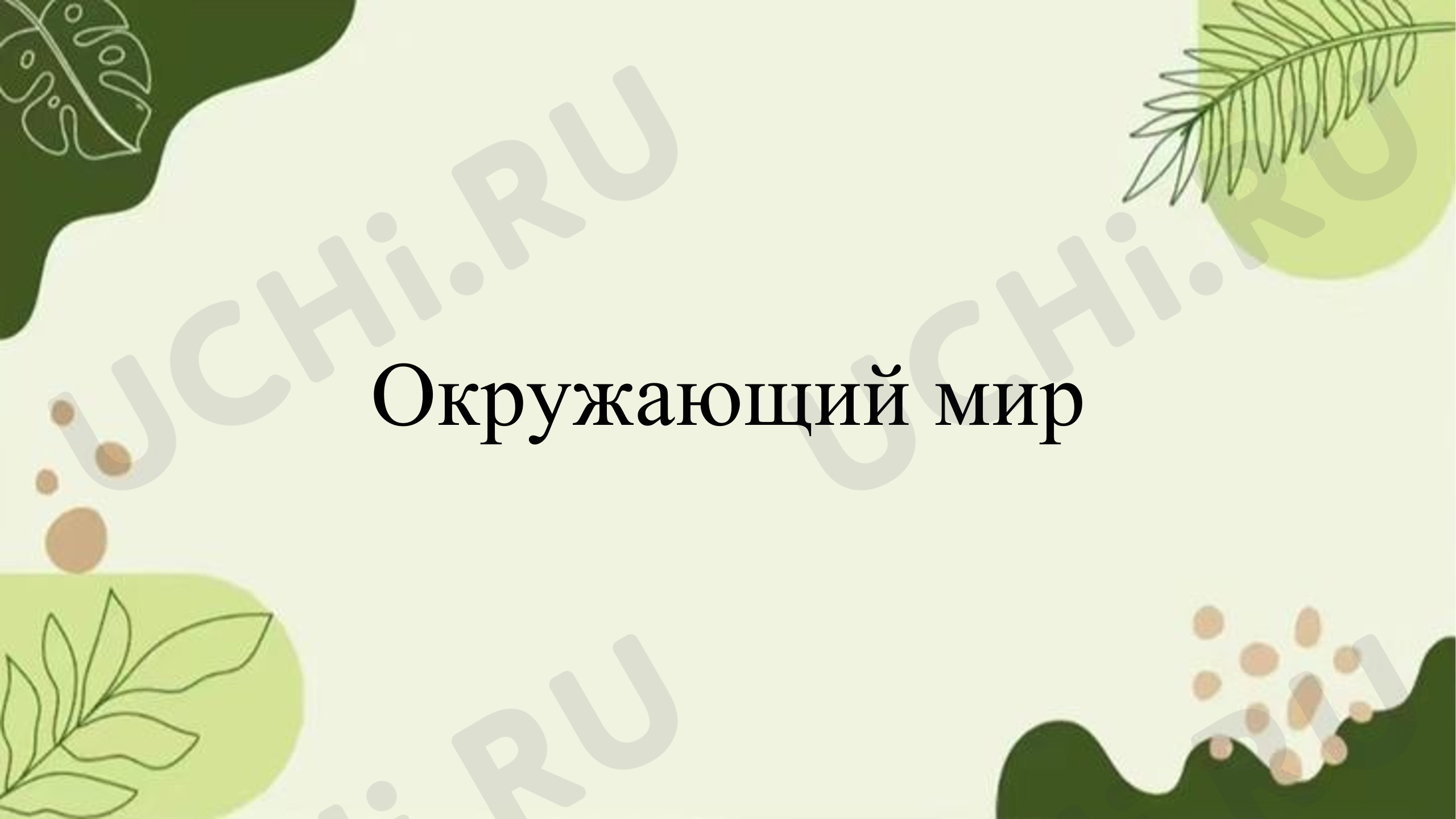 Предпросмотр материала Презентация к уроку окружающего мира : Что это за листья?