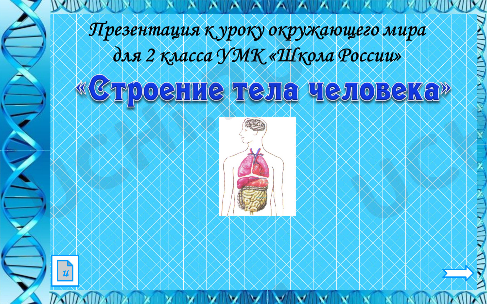 Предпросмотр материала Презентация к уроку окружающего мира. Строение тела человека.