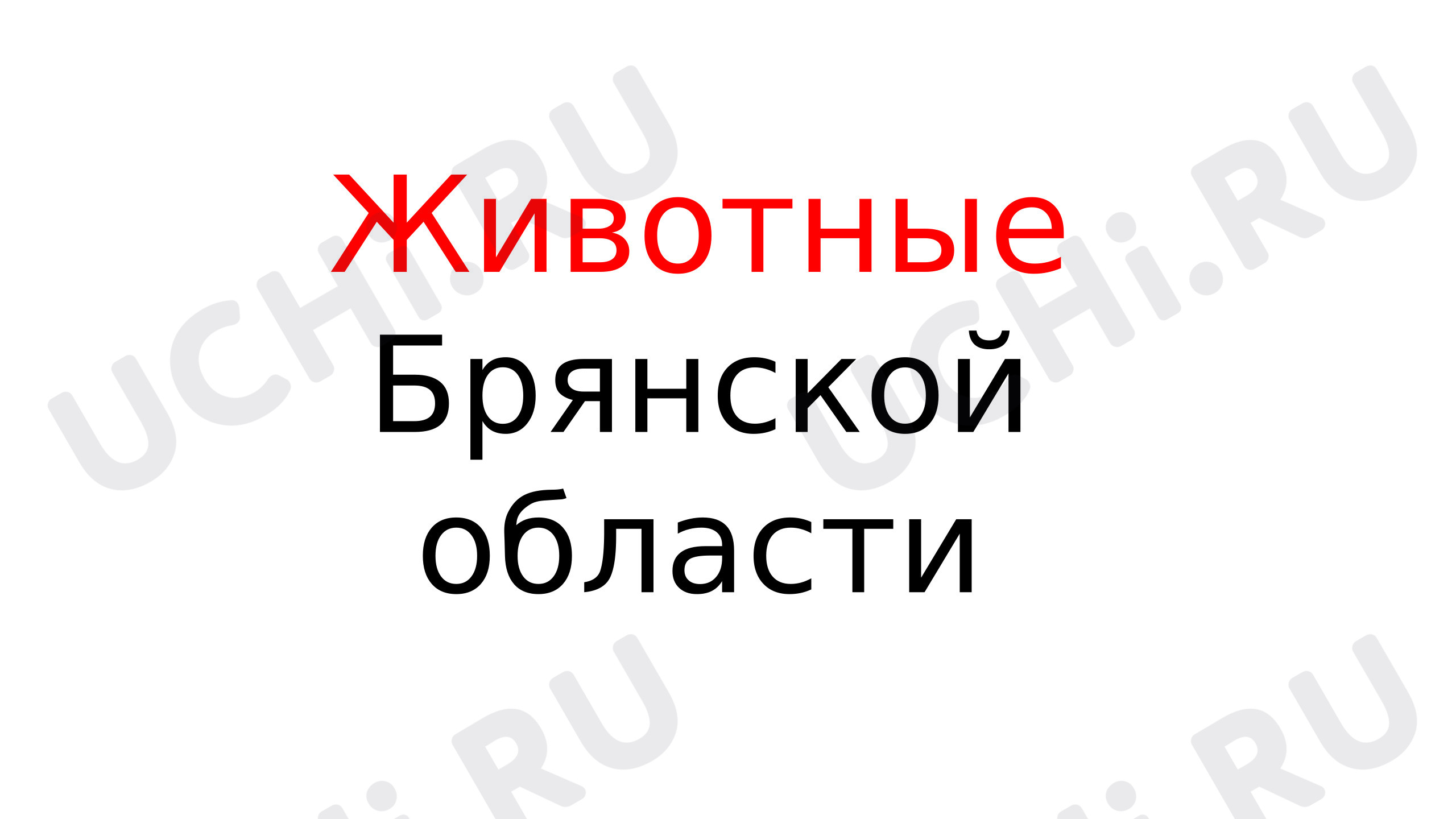 Предпросмотр материала Презентация к уроку окружающего мира по теме: Животные Брянской области