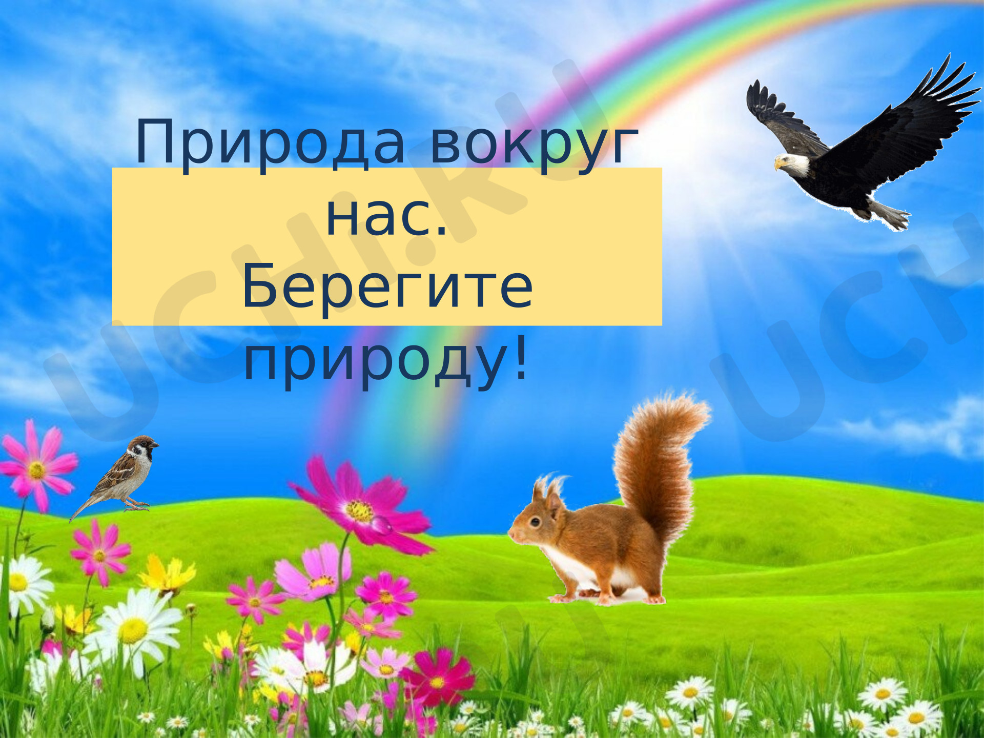 Предпросмотр материала Презентация по окружающему миру. Природа вокруг нас, береги природу.