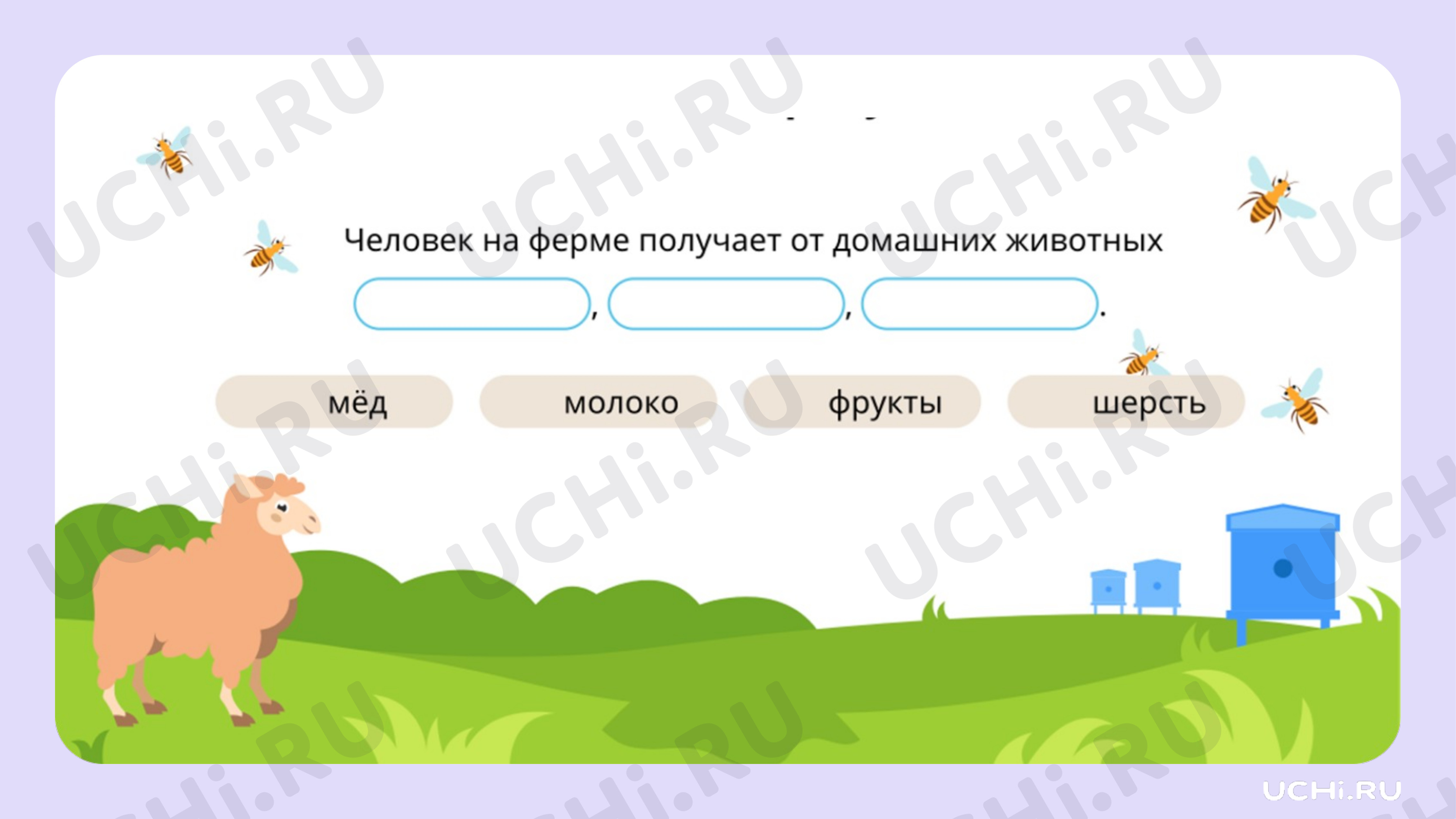 Домашние и дикие животные. Различия в условиях жизни: Домашние и дикие  животные. Различия в условиях жизни | Учи.ру