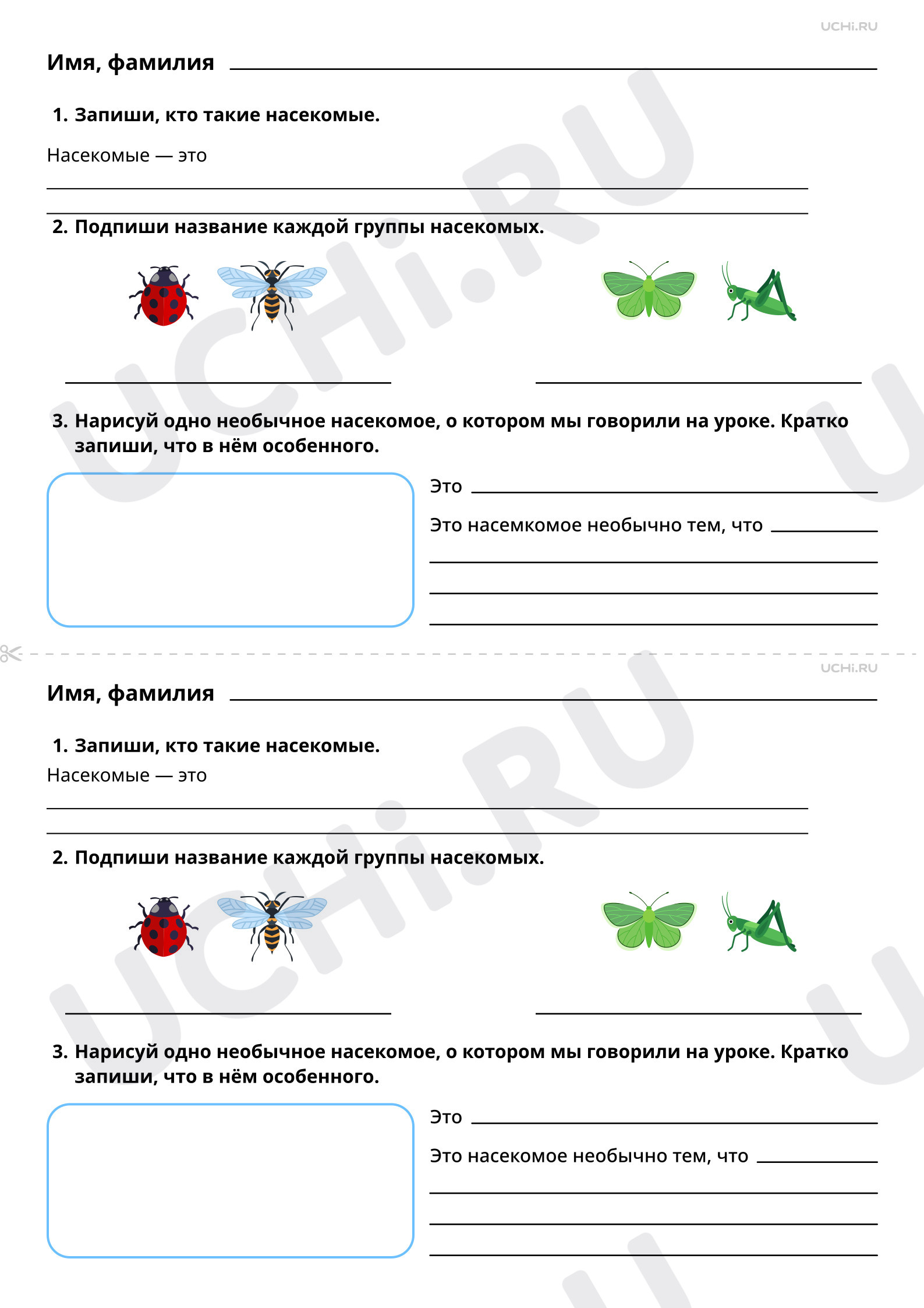 Рабочие листы по теме «Насекомые: сравнение, краткое описание внешнего  вида». Повышенный уровень: Насекомые: сравнение, краткое описание внешнего  вида | Учи.ру