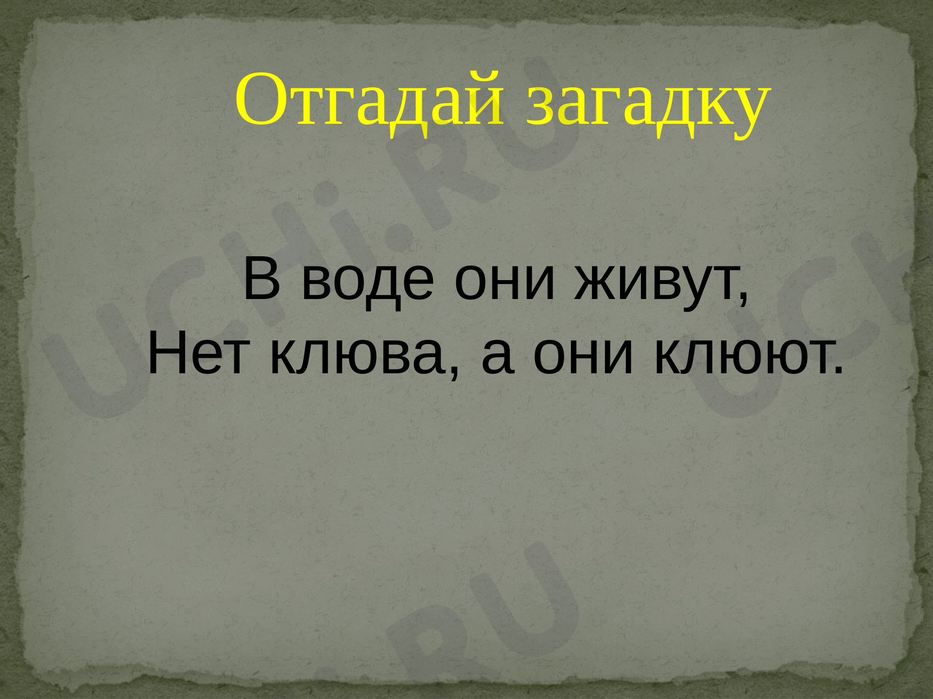 Предпросмотр материала Рыбы