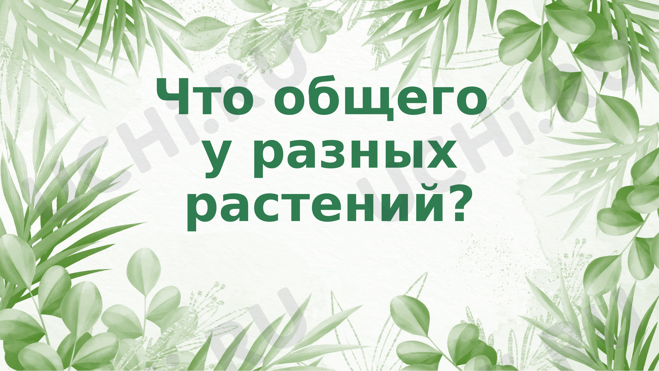 Предпросмотр материала Презентация к уроку окружающего мира. «Что общего у разных растений?».