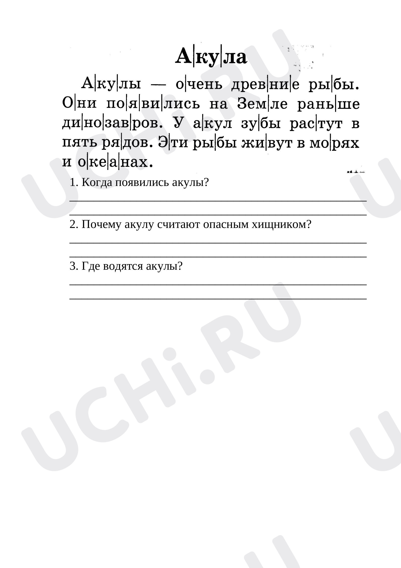 Предпросмотр материала Акула