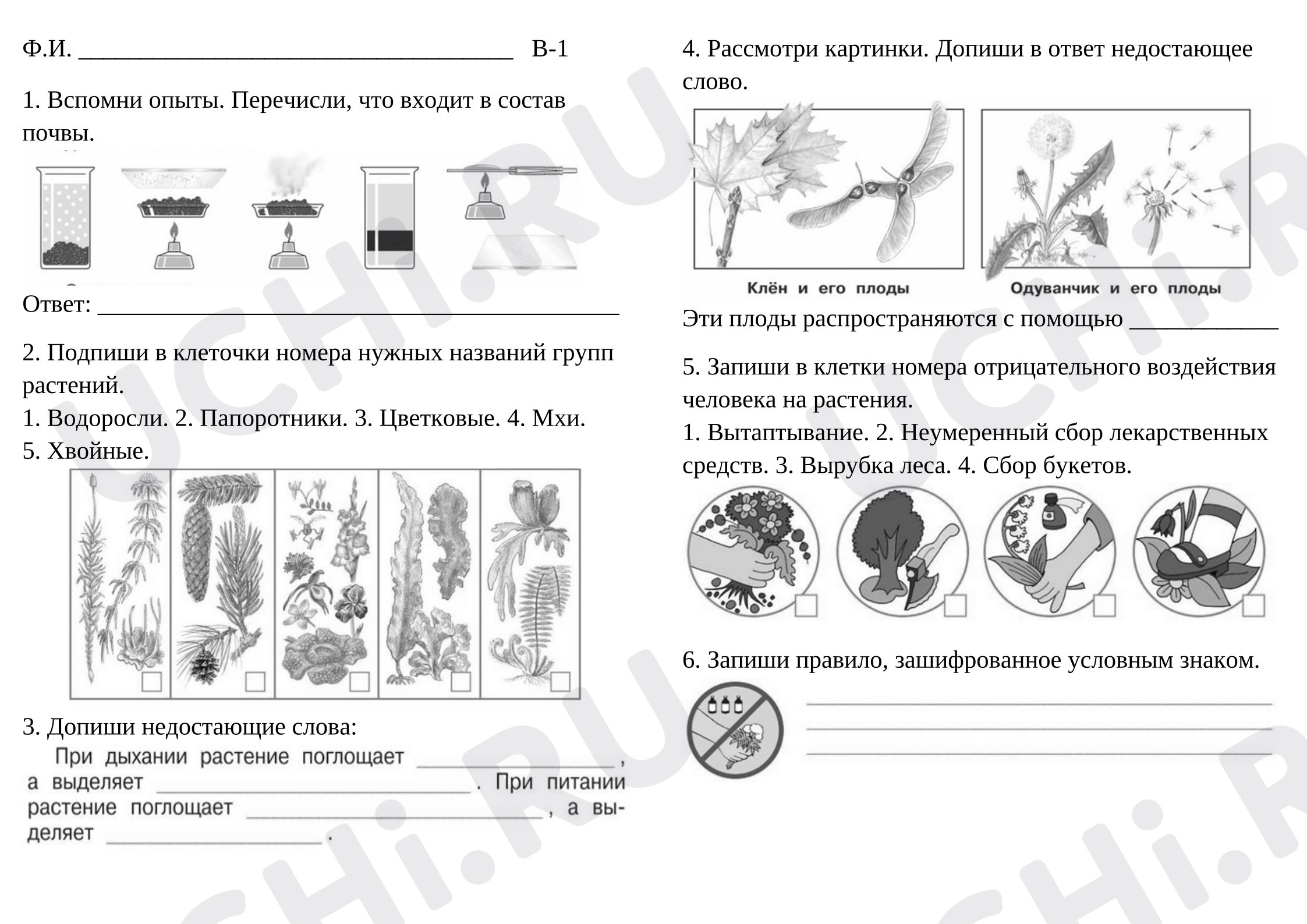 Предпросмотр материала Проверочная работа к уроку окружающего мира по темам «Состав почвы» и «Разнообразие растений».