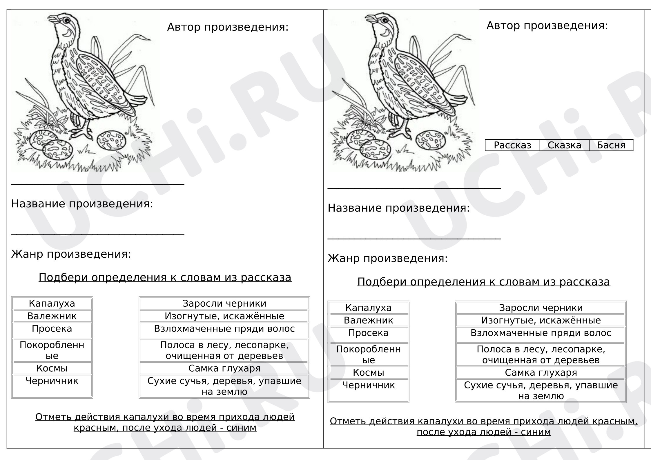 Предпросмотр материала Рабочие листы к уроку литературного чтения, "В. Астафьев "Капалуха"