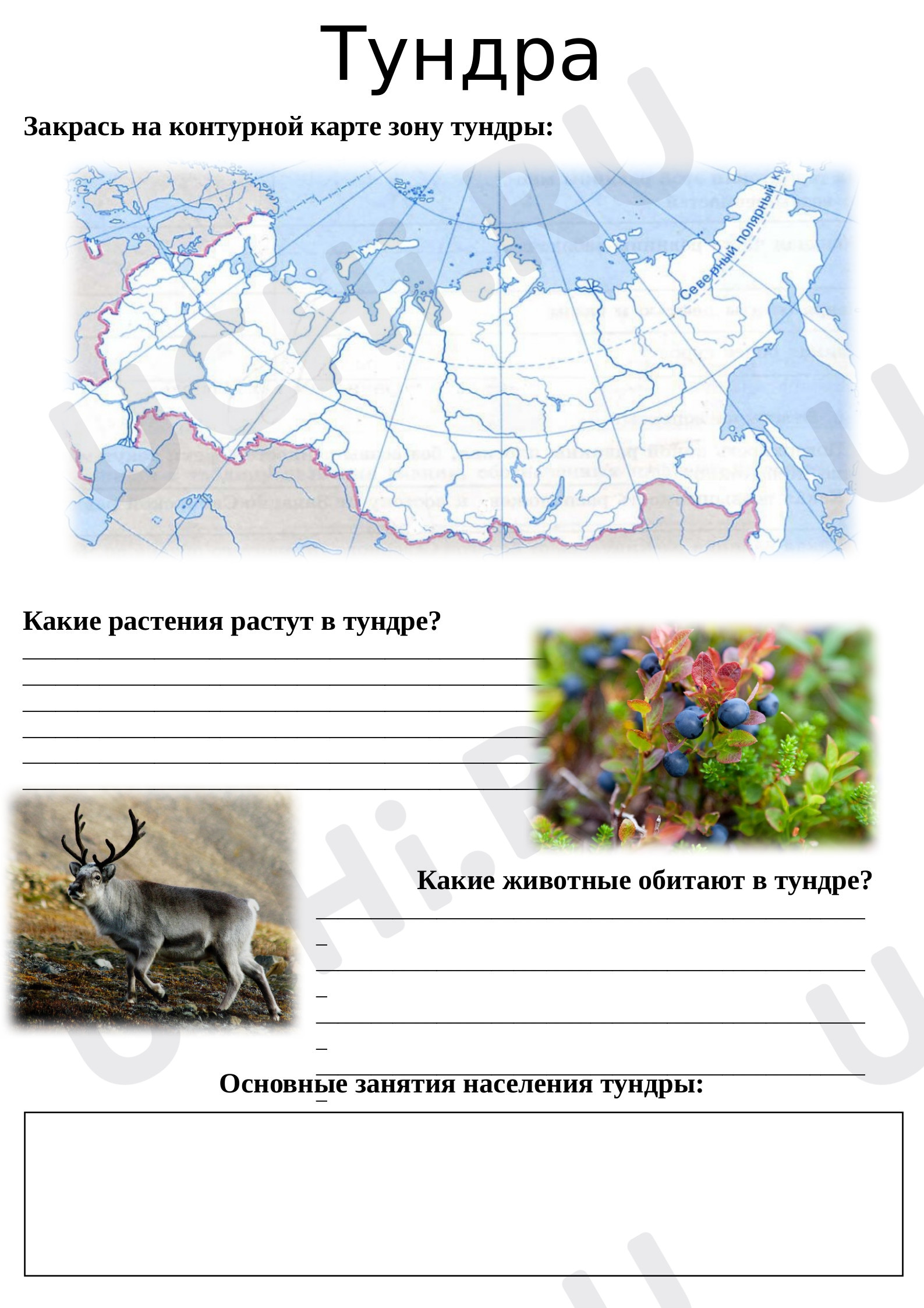 Предпросмотр материала Природные зоны. Тундра