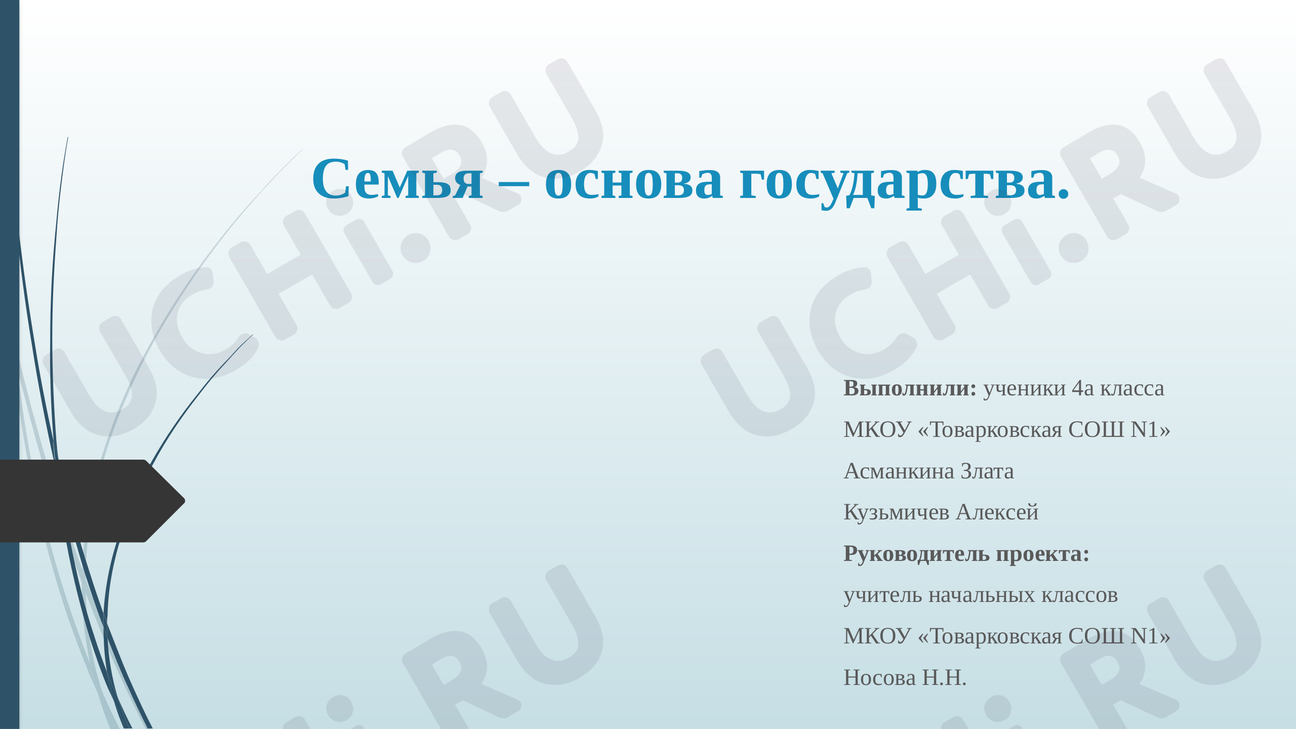 Предпросмотр материала Проект «Семья — основа государства»