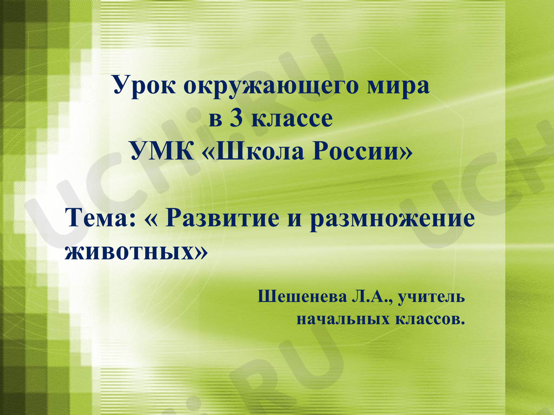 Предпросмотр материала Презентация к уроку окружающего мира в 3 классе по теме «Размножение и развитие животных»