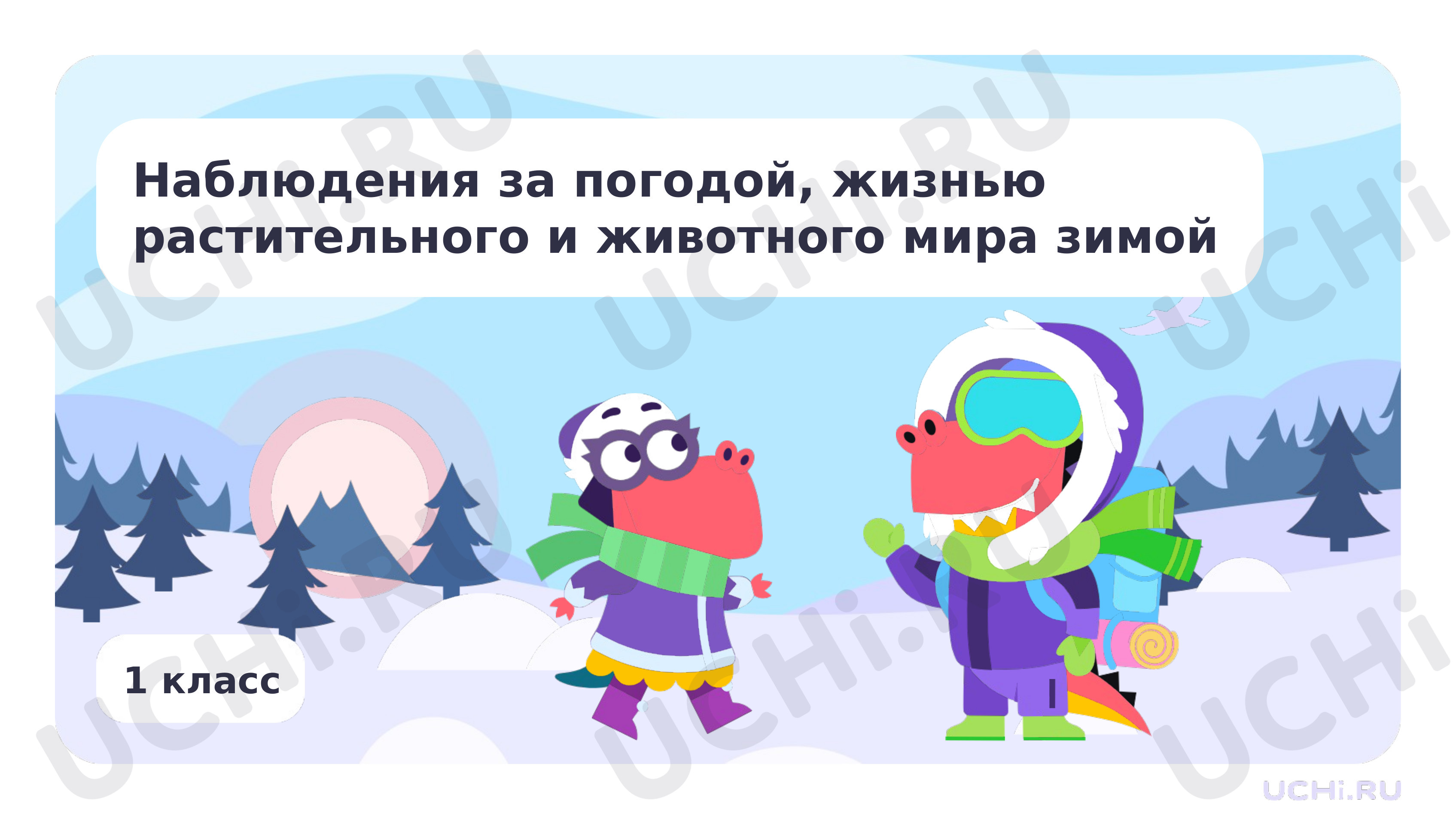 Предпросмотр материала Наблюдения за погодой, жизнью растительного и животного мира зимой