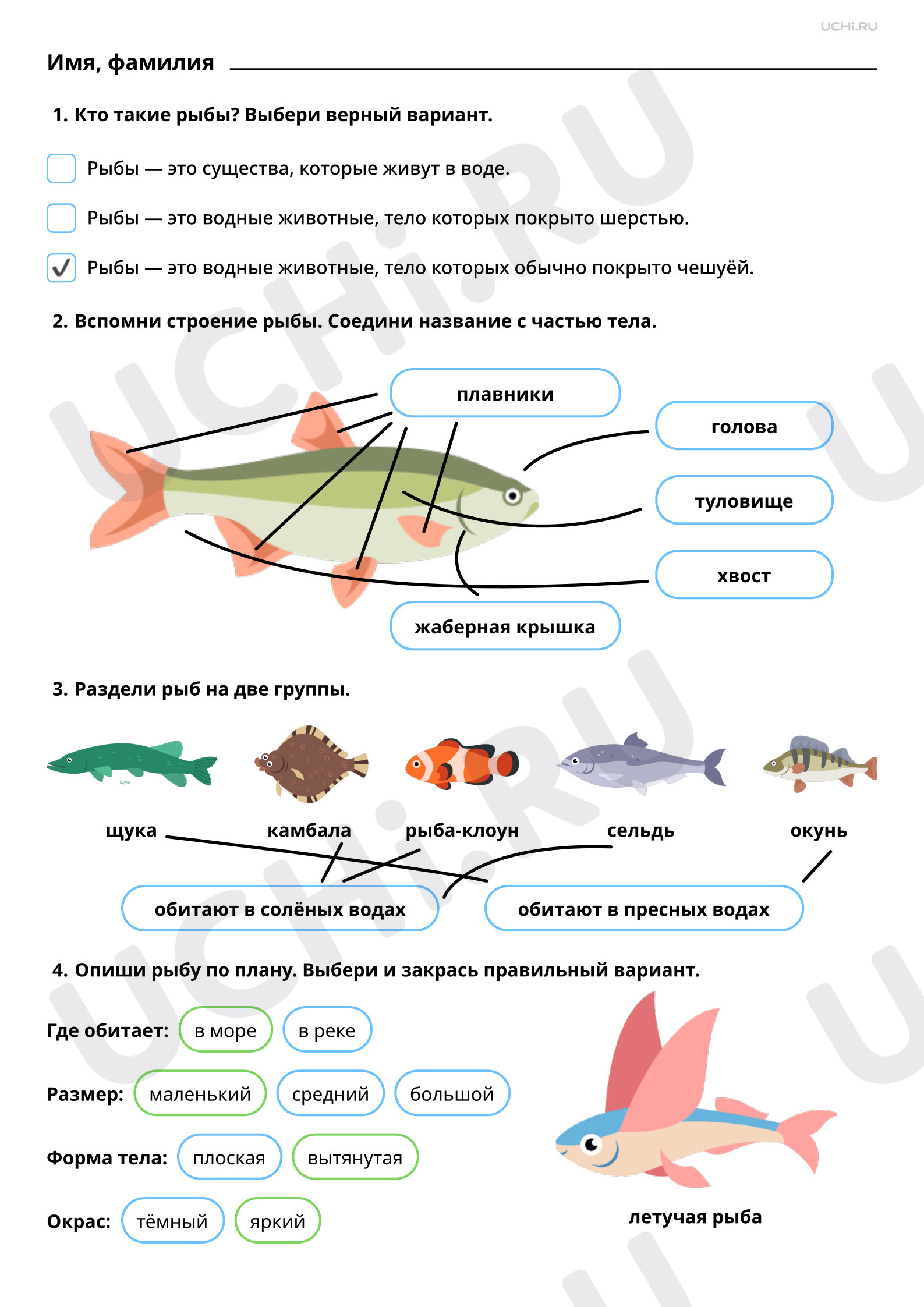 Ответы к рабочим листам по теме «Мир животных: рыбы пресных и соленых  водоемов (сравнение, краткое описание)»: Мир животных: рыбы пресных и  солёных водоёмов (сравнение, краткое описание) | Учи.ру