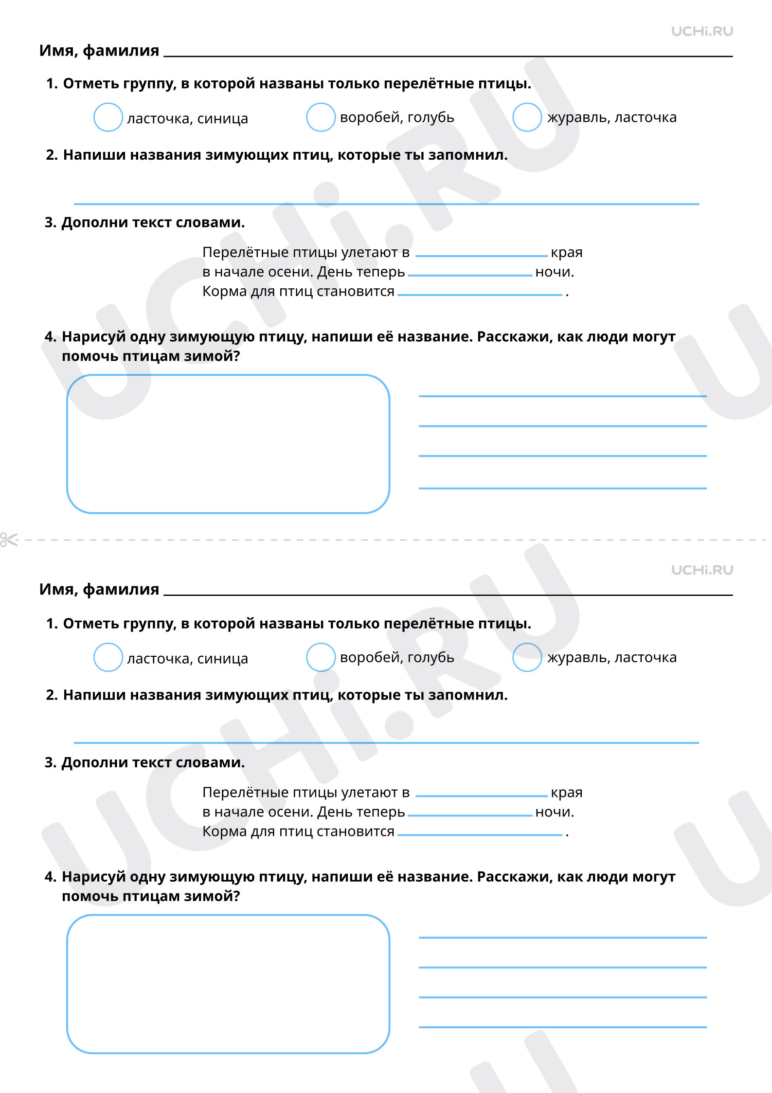 Рабочие листы по теме «Мир животных. Перелётные и зимующие птицы».  Повышенный уровень: Мир животных. Перелётные и зимующие птицы | Учи.ру
