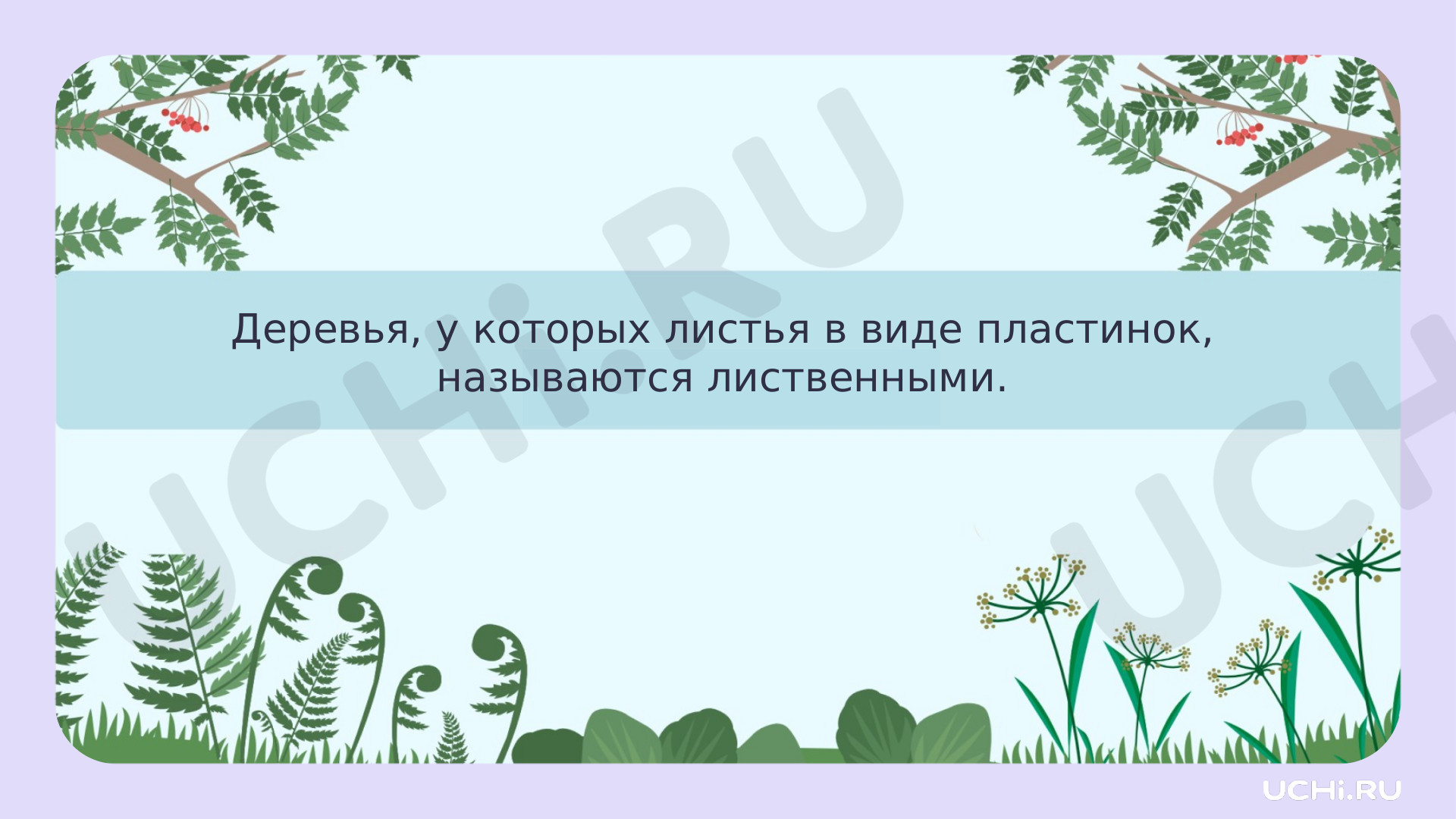 Окружающий мир для 2 четверти 1 класса. ЭОР | Подготовка к уроку от Учи.ру