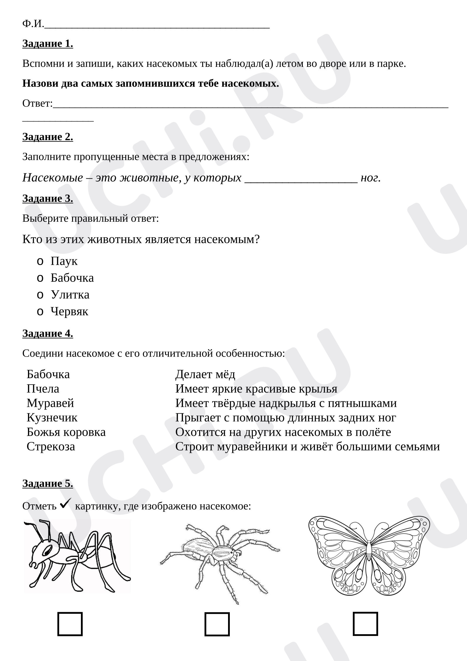 Предпросмотр материала Проверочная работа к уроку окружающего мира. Тест по теме «Кто такие насекомые».