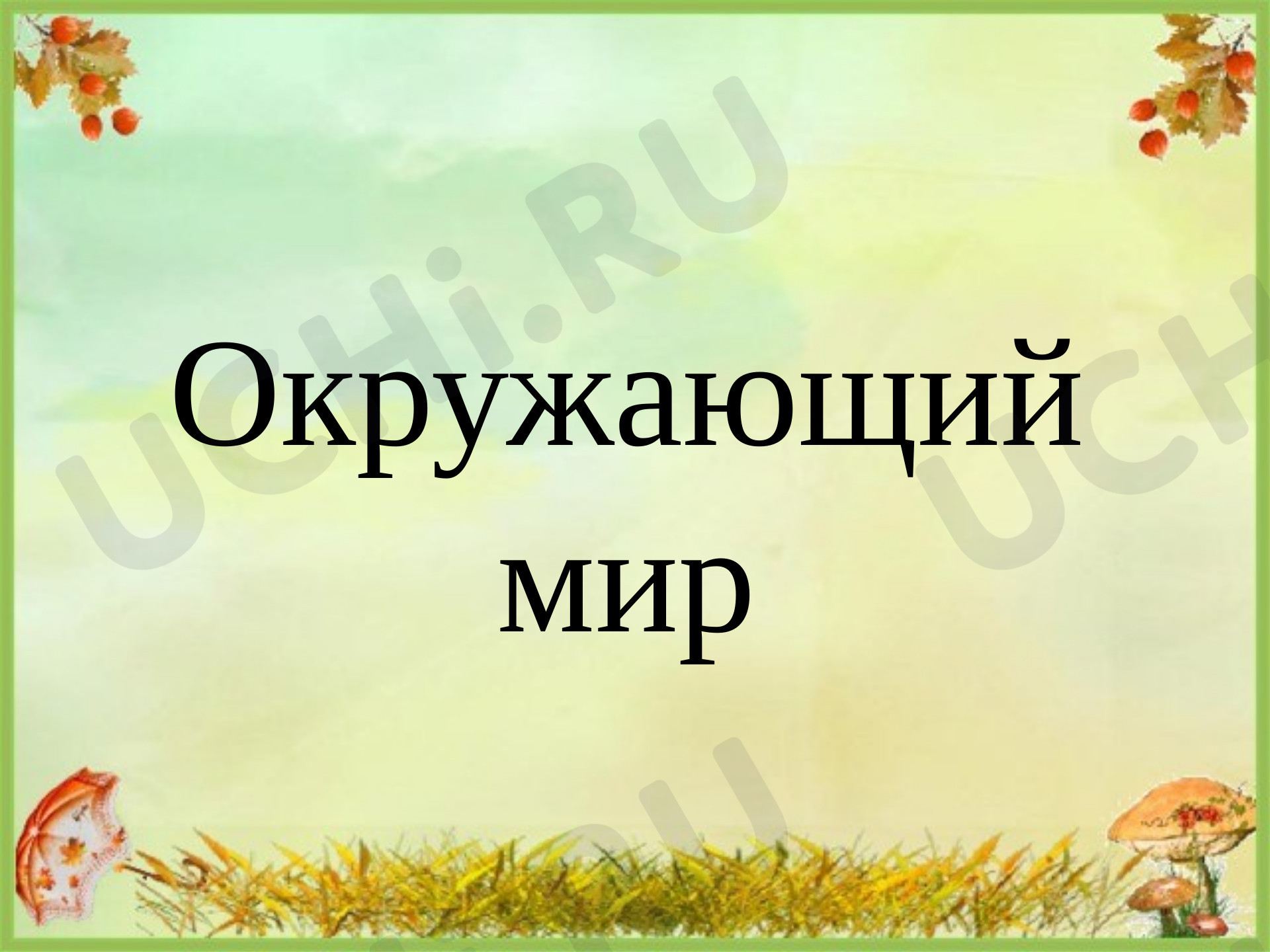 Предпросмотр материала Презентация к уроку окружающего мира по теме: В царстве грибов