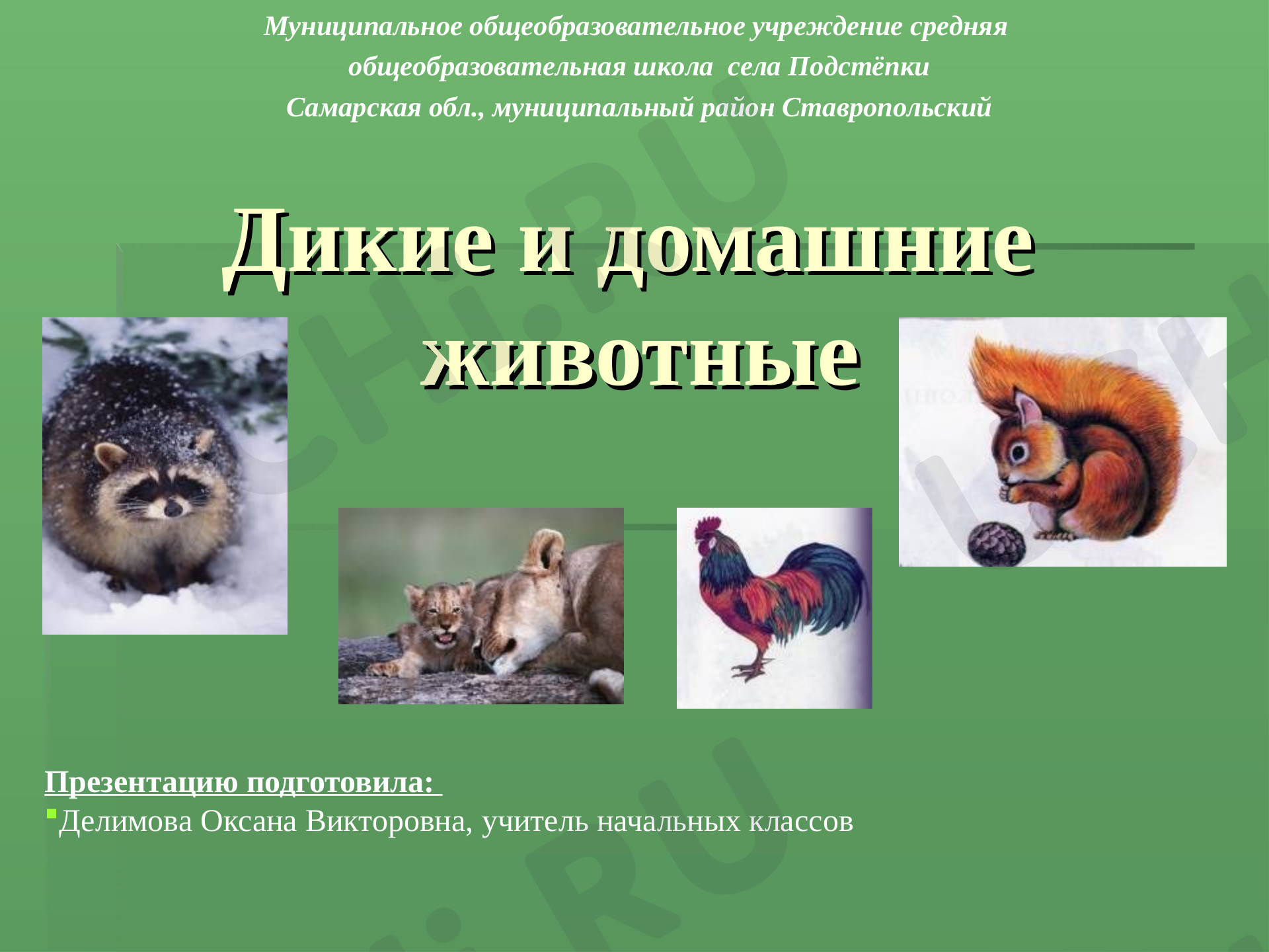 Предпросмотр материала Презентация к уроку окружающему миру по теме: Дикие и домашние животные