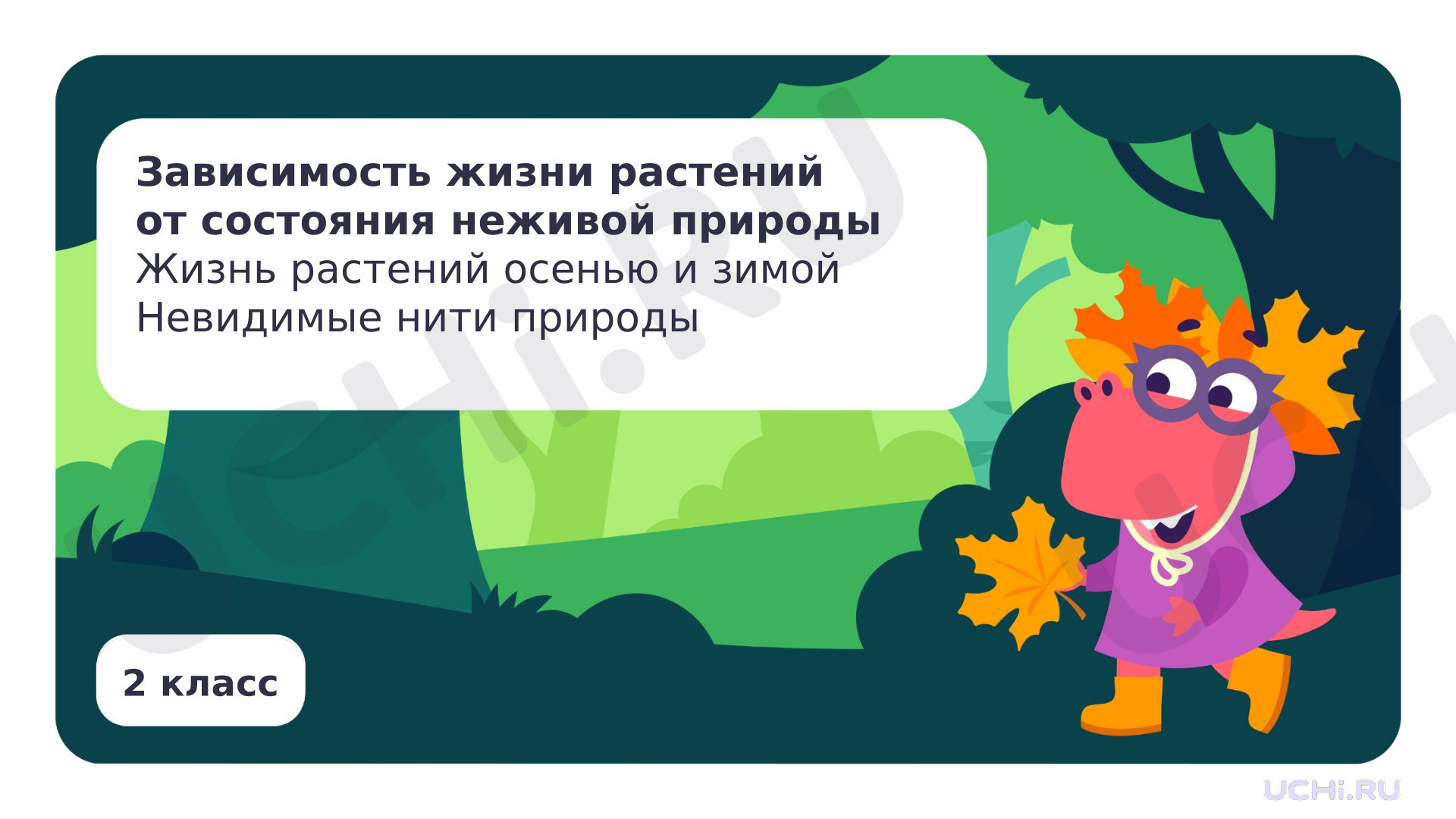 Предпросмотр материала Зависимость жизни растений от состояния неживой природы