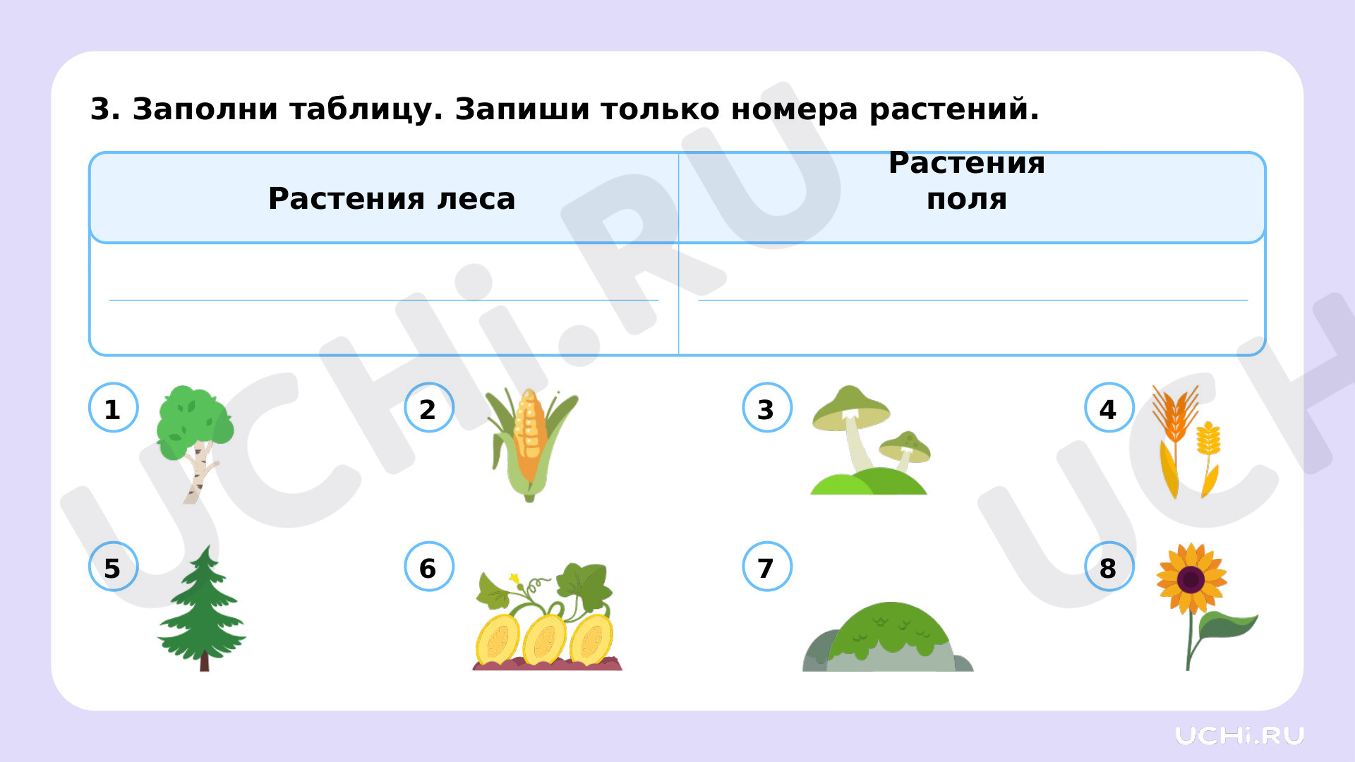 Окружающий мир для 2 четверти 1 класса. ЭОР | Подготовка к уроку от Учи.ру