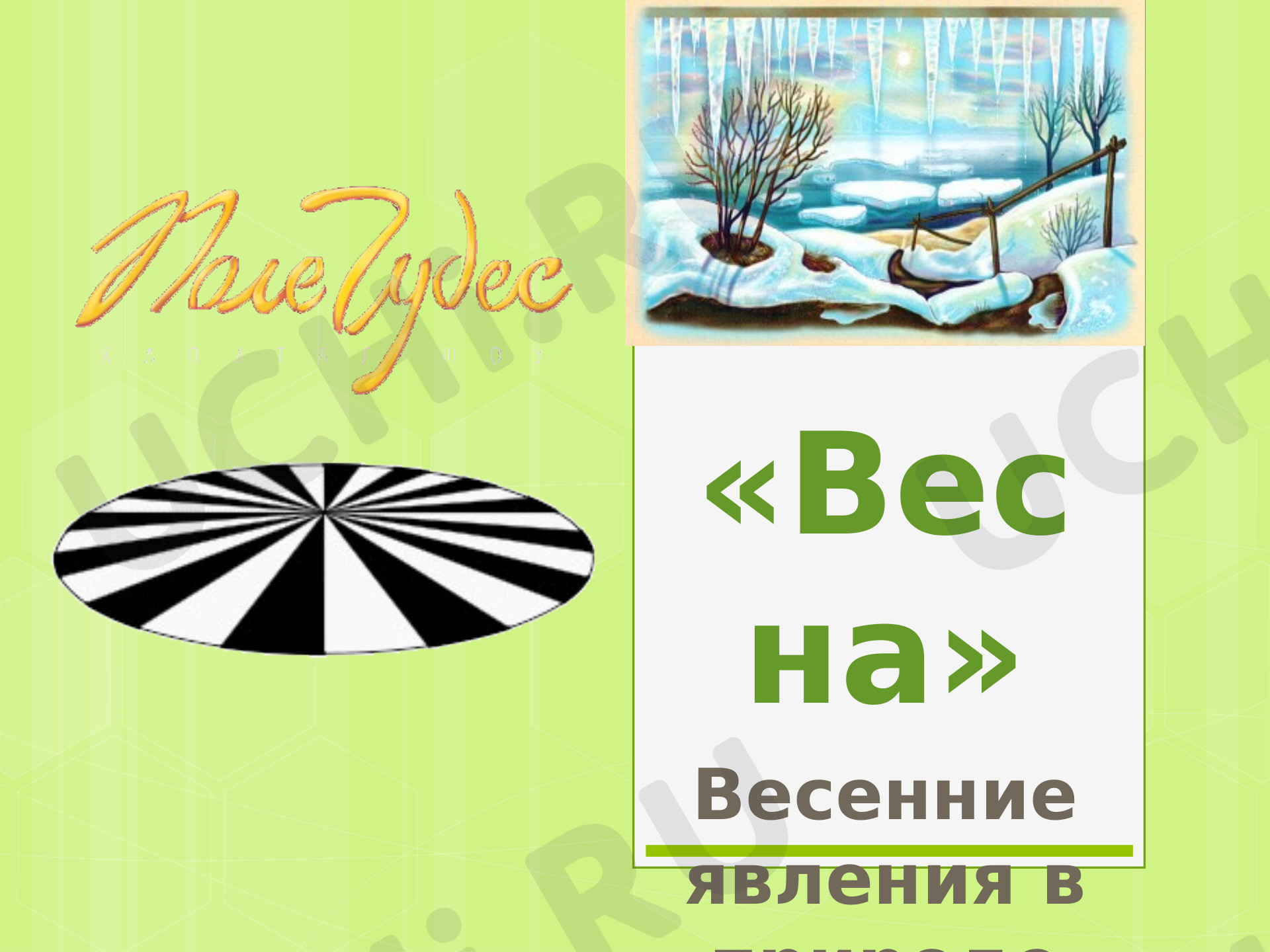 Предпросмотр материала Поле чудес
