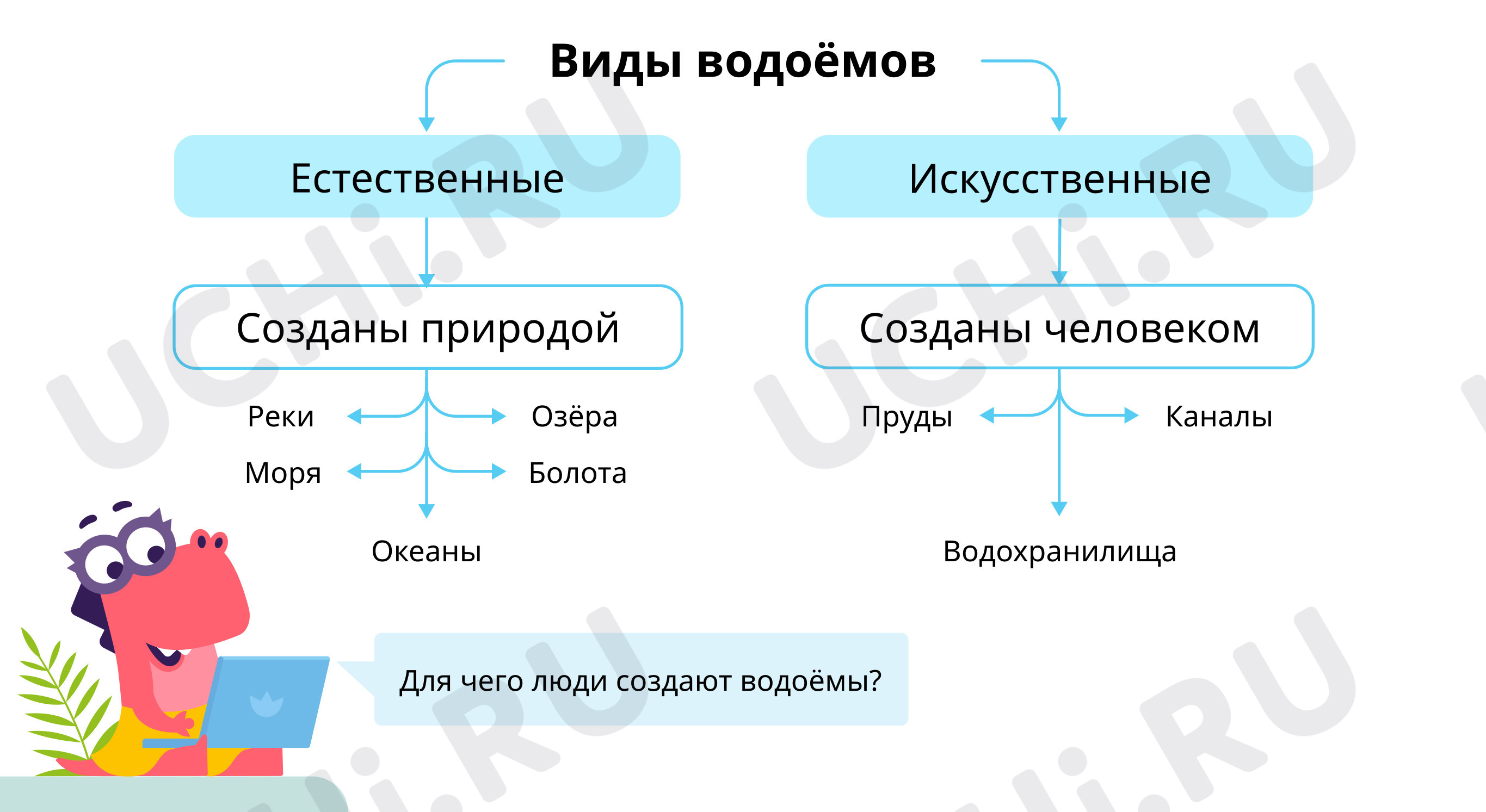 Водоёмы: Водные богатства | Учи.ру