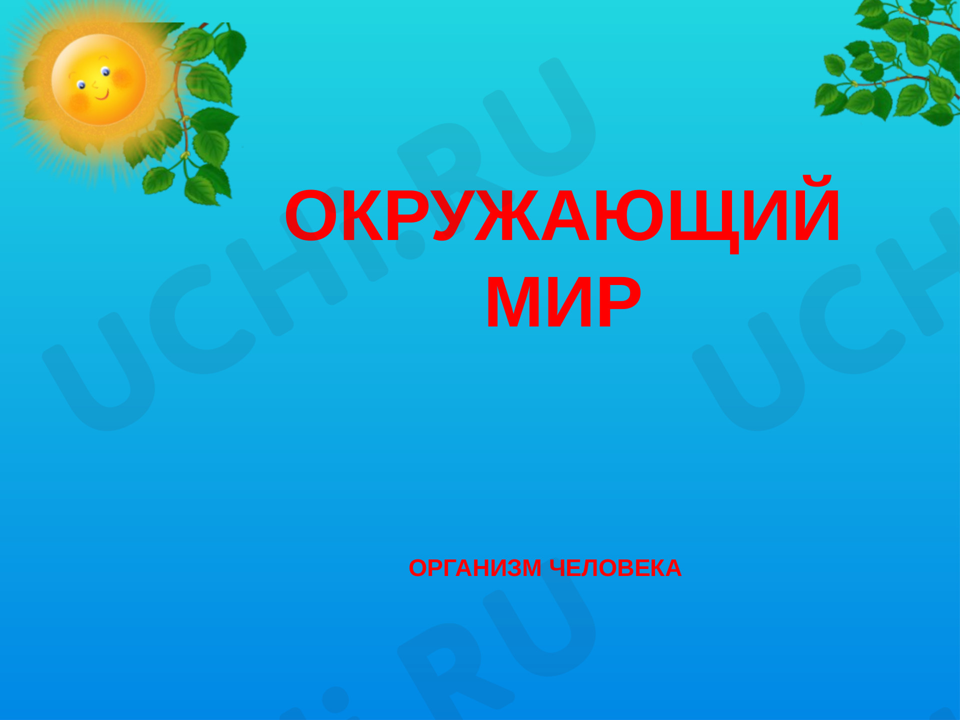 Предпросмотр материала Презентация к уроку окружающего мира по теме: Организм человека