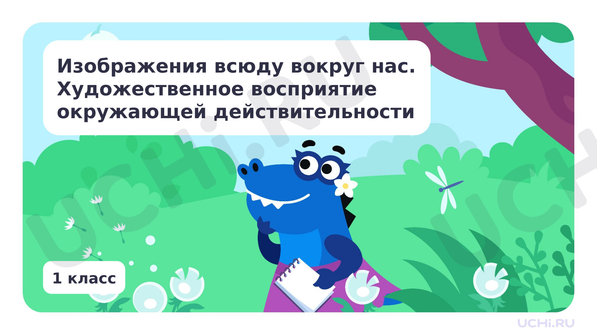 Предпросмотр материала Изображения всюду вокруг нас.