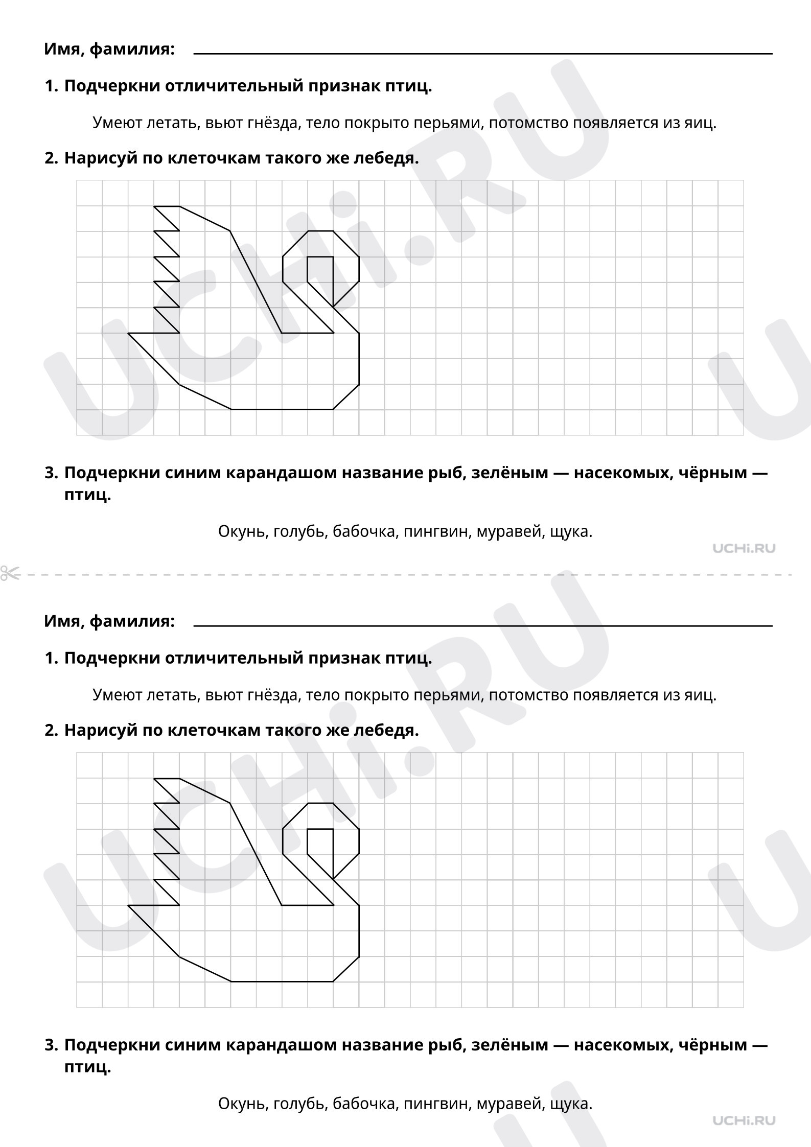 Предпросмотр материала Кто такие птицы? Базовый уровень