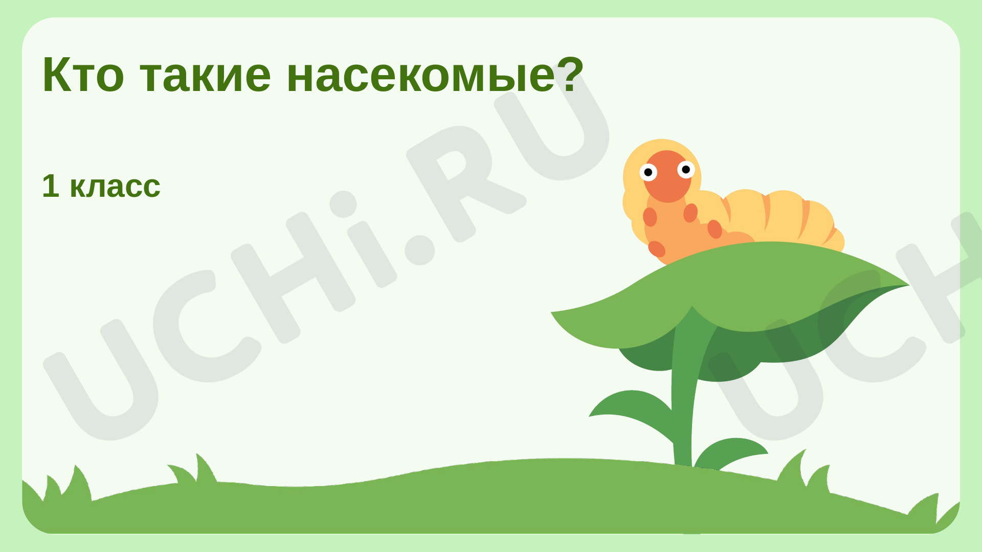 Предпросмотр материала Кто такие насекомые?