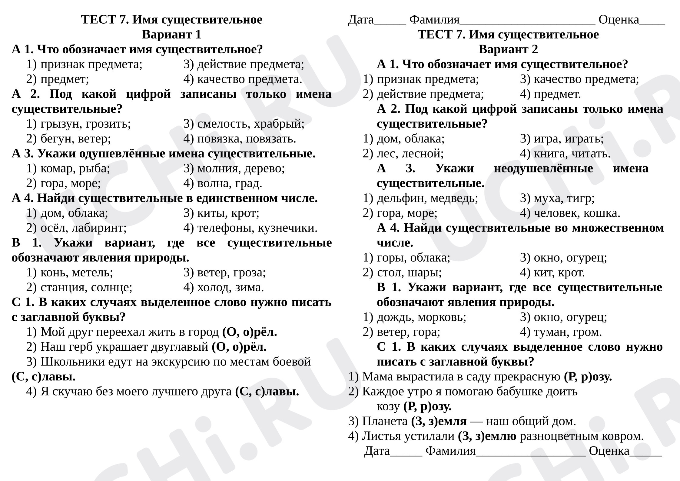 Предпросмотр материала Тест по русскому языку по теме «Имя существительное».