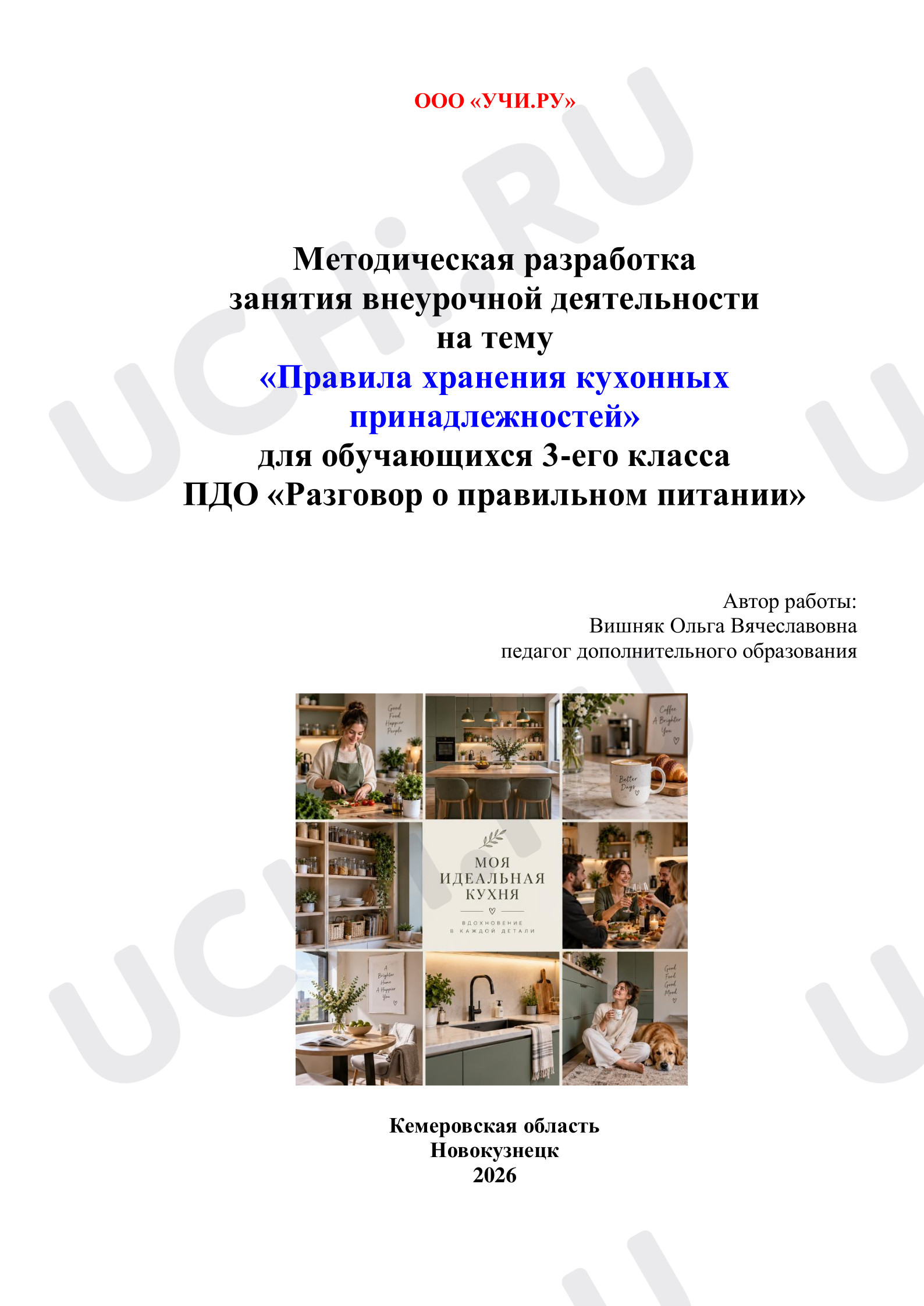 Предпросмотр материала Правила хранения кухонных принадлежностей