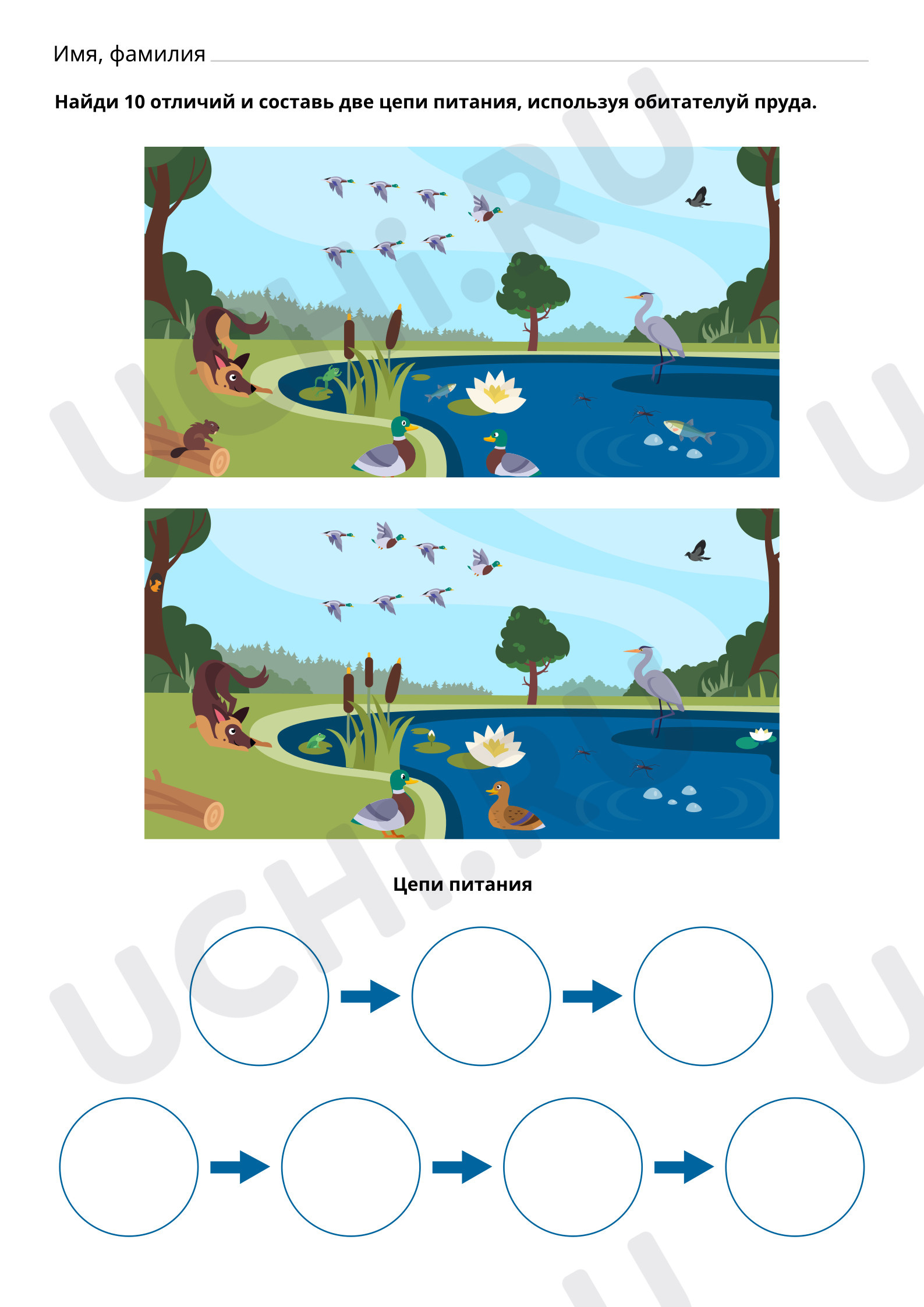 Задание 1. Найди 10 отличий : Экскурсия к водоёму | Учи.ру
