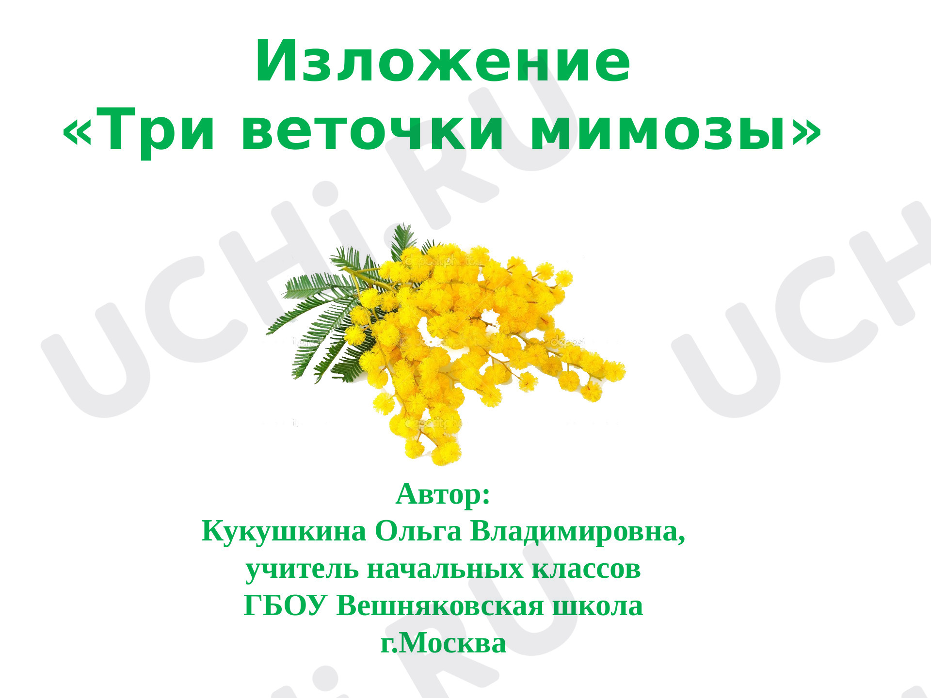 Предпросмотр материала Три ветки мимозы