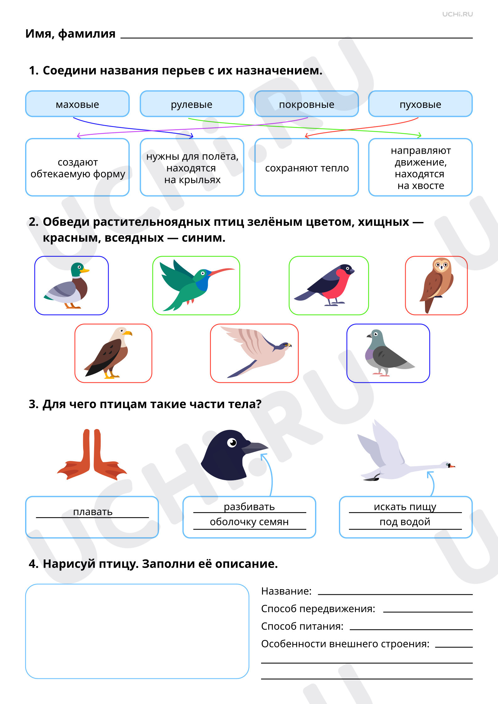 Предпросмотр материала Мир животных: птицы. Ответы