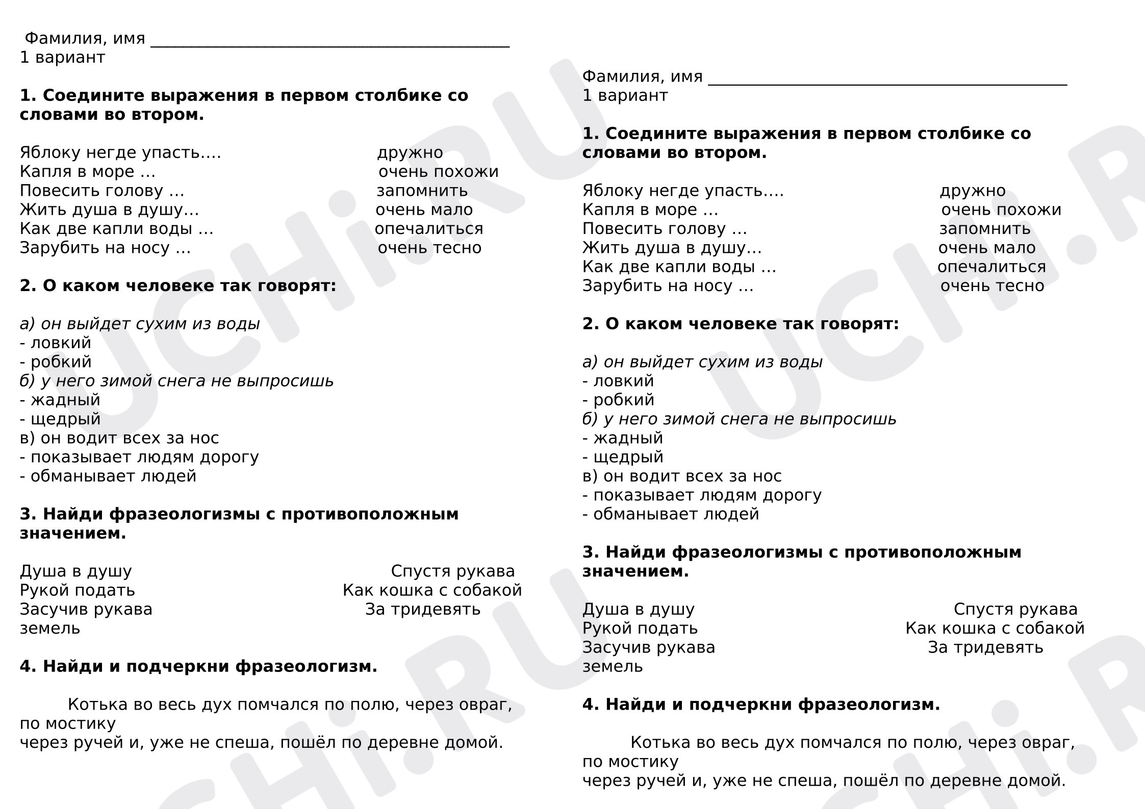 Предпросмотр материала Проверочная работа к уроку русского языка. Фразеологизмы.