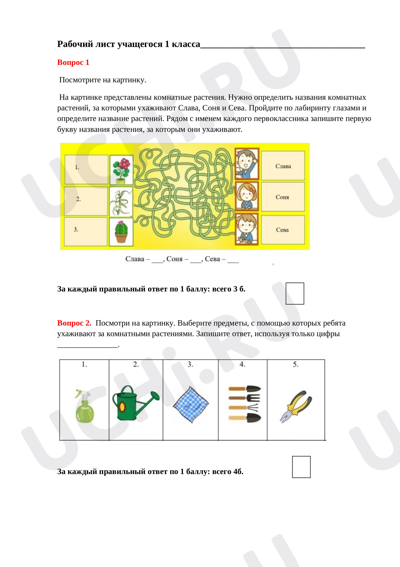 Предпросмотр материала Растения