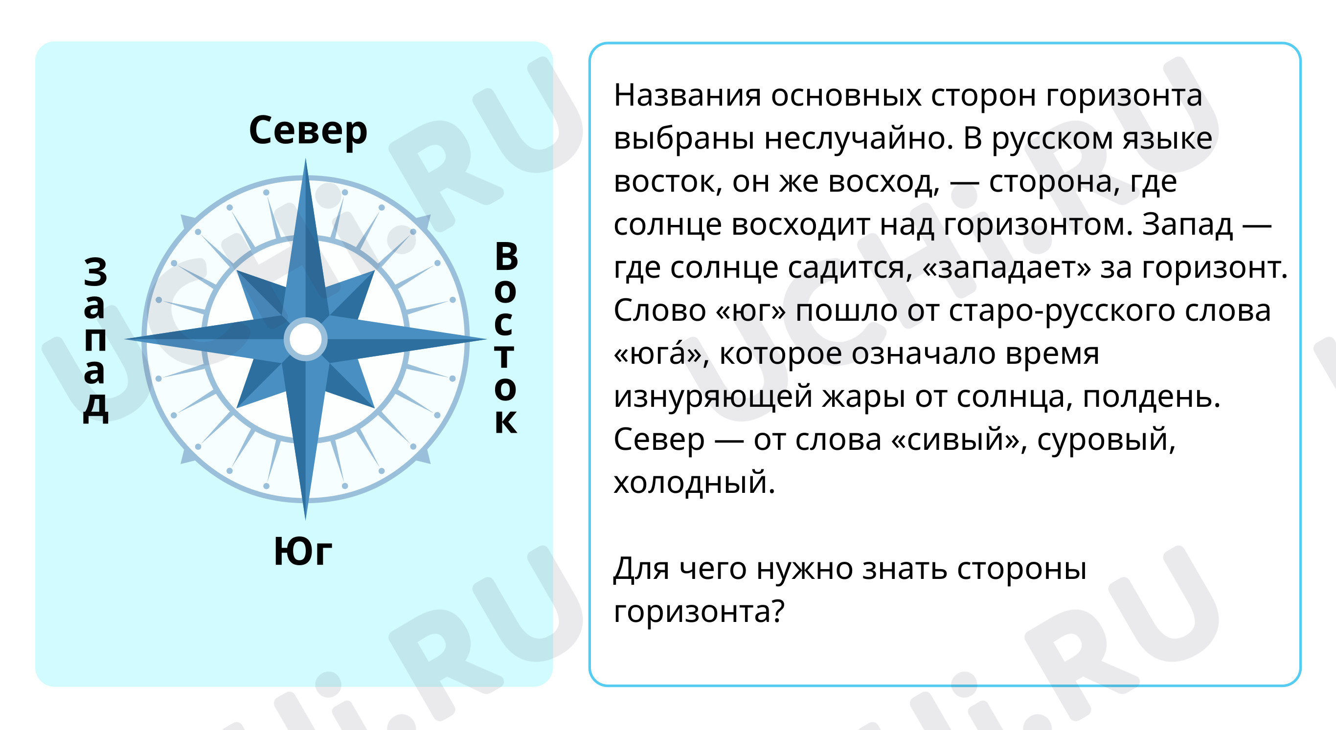 Стороны горизонта: Посмотри вокруг | Учи.ру